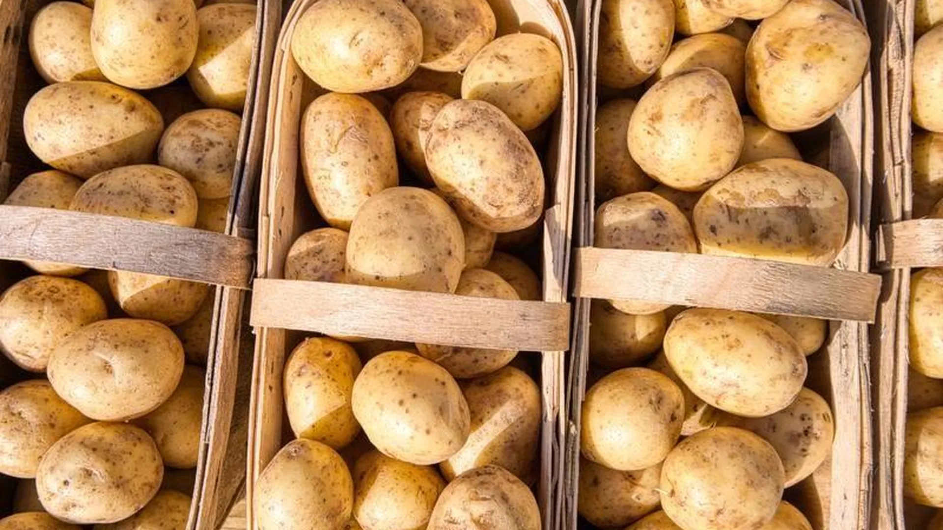 Дополнительную землю предоставили фермерскому хозяйству из Серебряных Прудов для выращивания картофеля