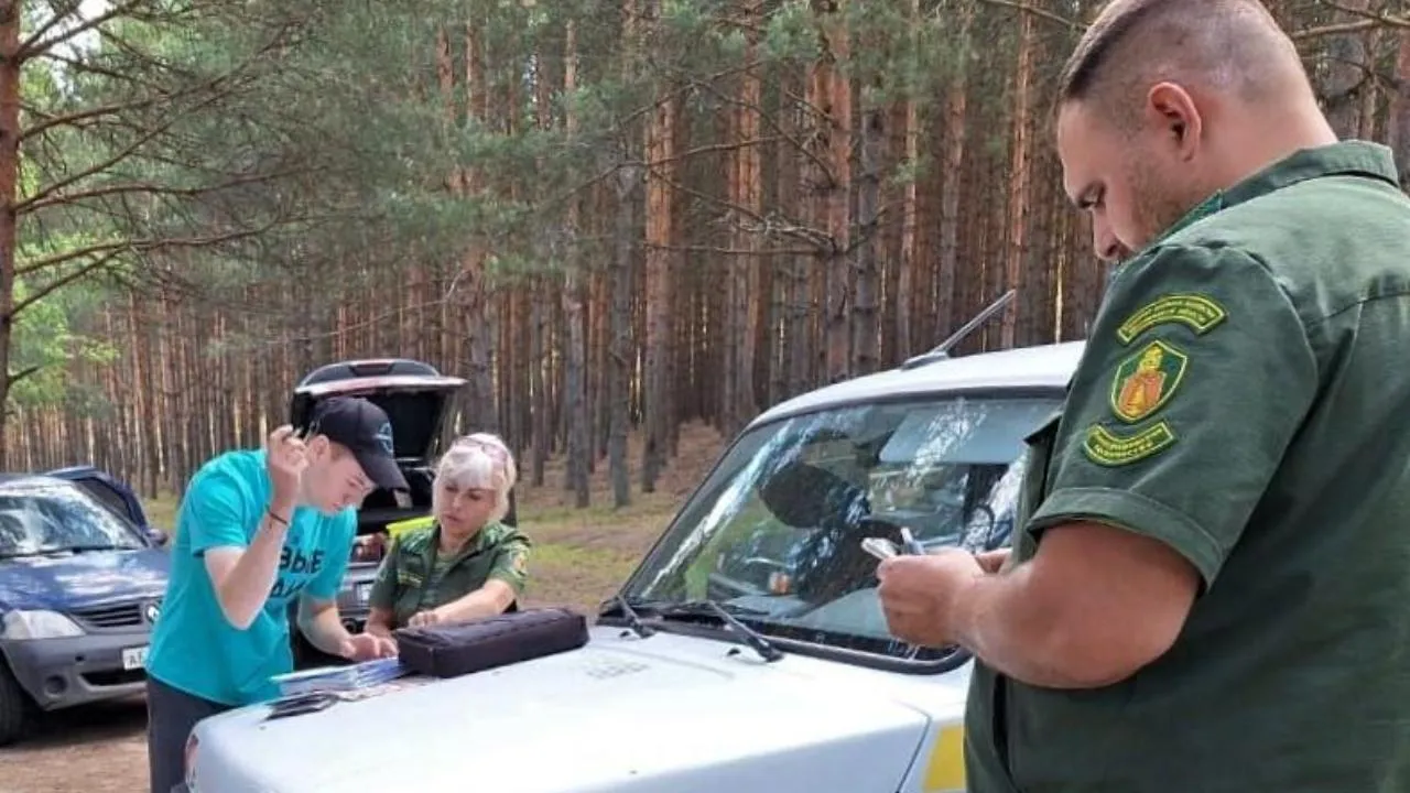 Более четырех тысяч нарушений лесного законодательства выявили в Подмосковье с начала года