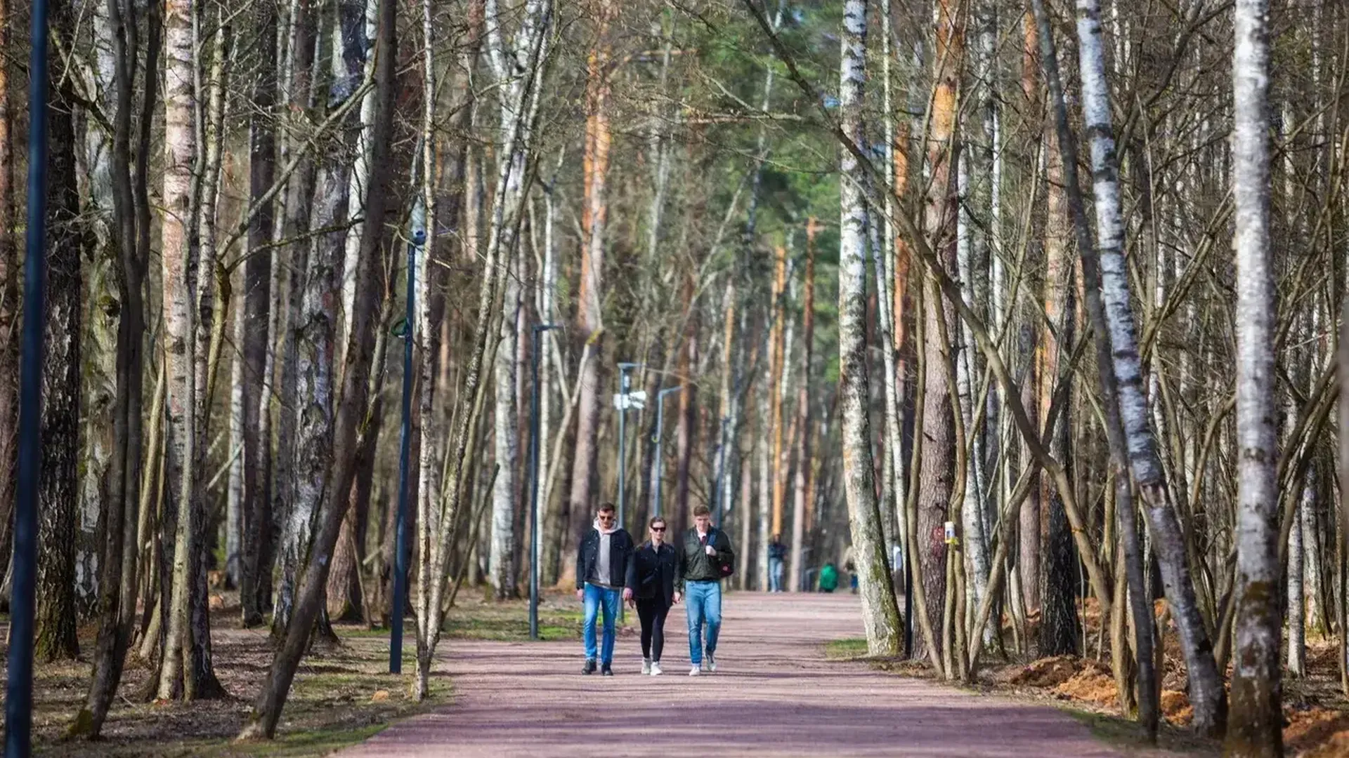 Более двух миллионов человек посетили парки Московской области за неделю