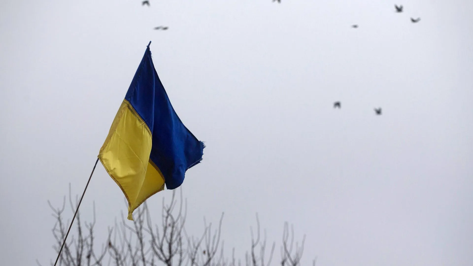 Kyiv Independent: приказ Зеленского о строительстве укреплений вышел слишком поздно