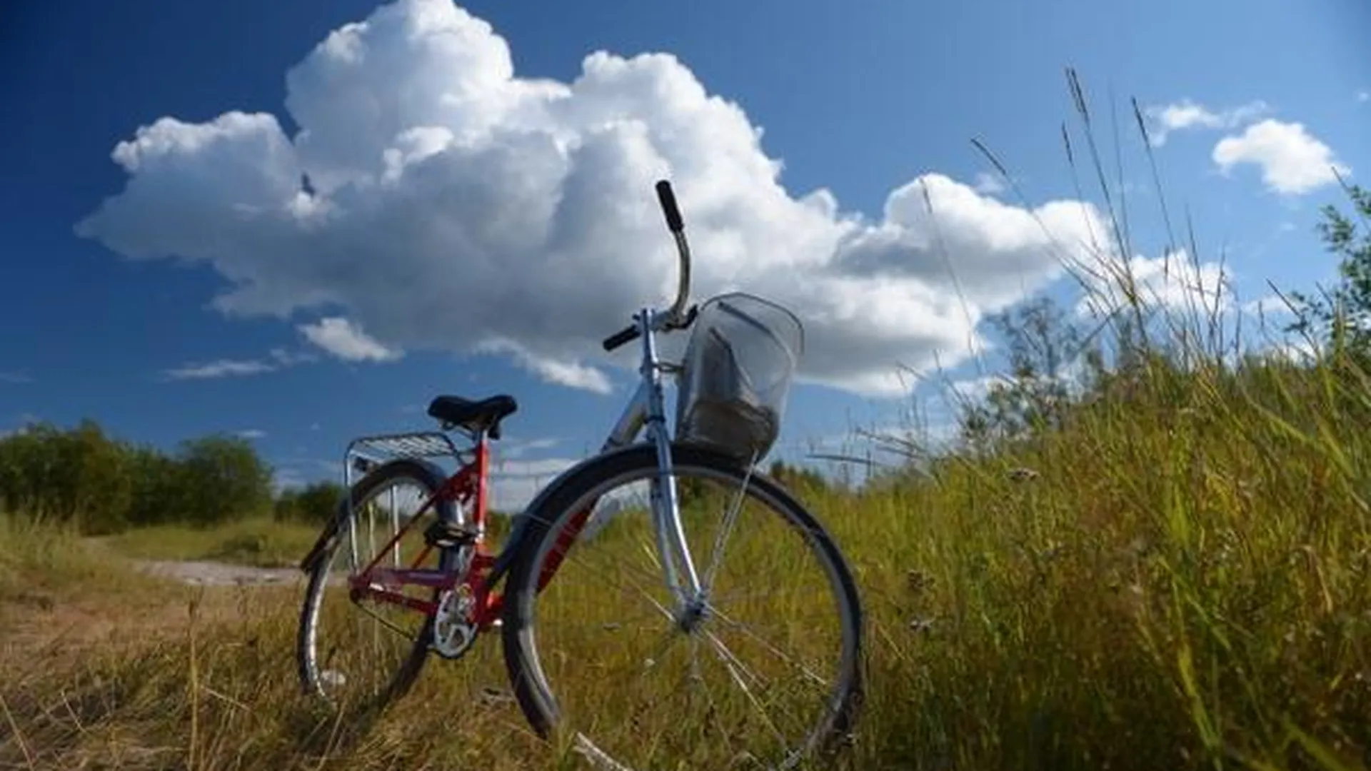 Детям-инвалидам из Красногорска подарили велосипеды