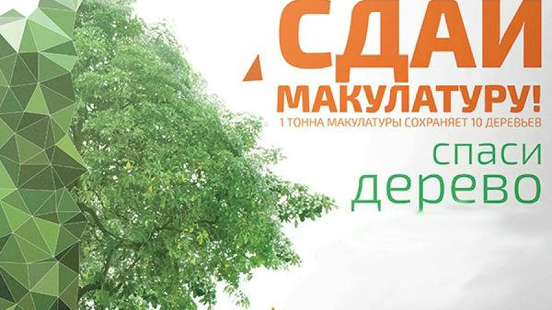 Победителей эко-акции «Сдай макулатуру» в МО наградят 12 ноября