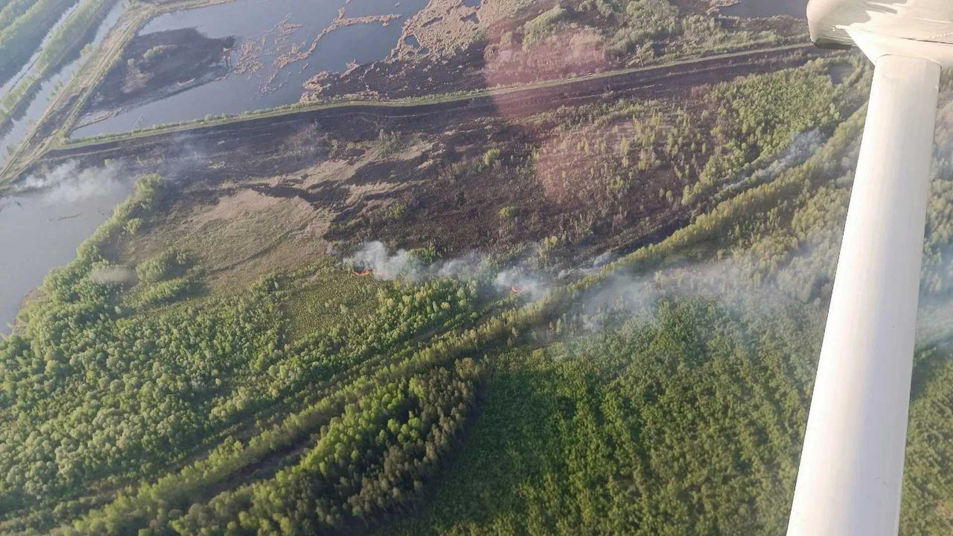 Воздушный патруль поможет защитить леса Подмосковья от пожаров