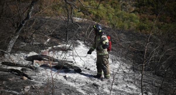 Два лесных пожара в Северском районе ликвидировали на Кубани