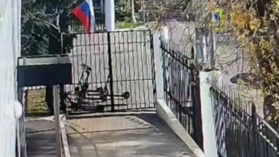 Мужчина получил срок за поджог государственного флага России в Подмосковье