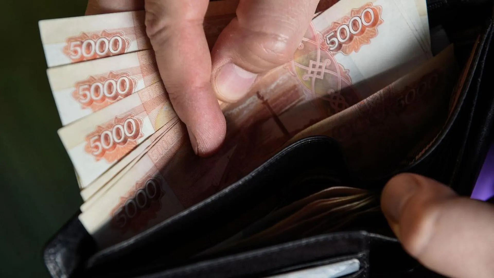 Более 211 млн рублей предусмотрели в Подмосковье на выплаты в рамках соцконтрактов в 2024 году