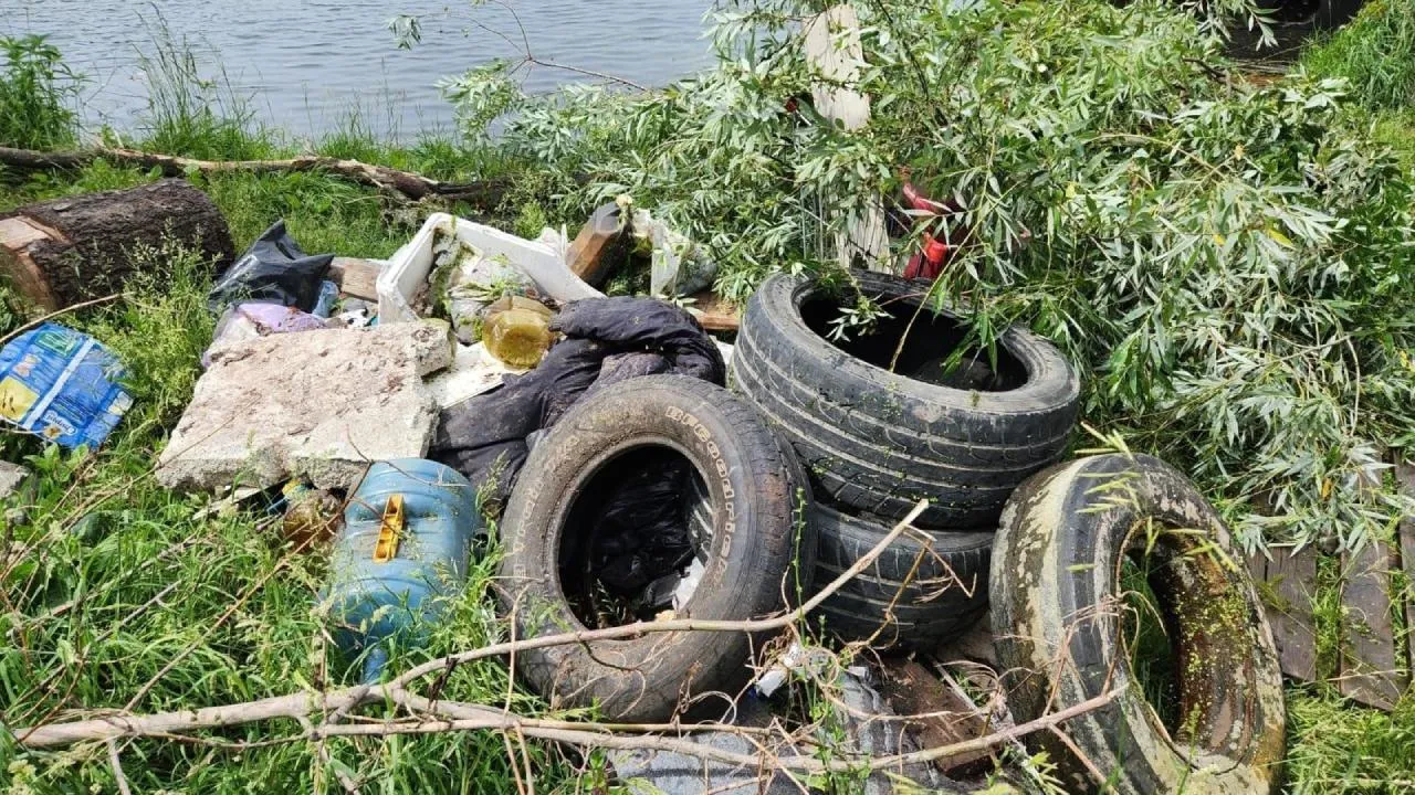 Уже более 500 кубометров мусора извлекли при очистке Птичьего карьера в Люберцах