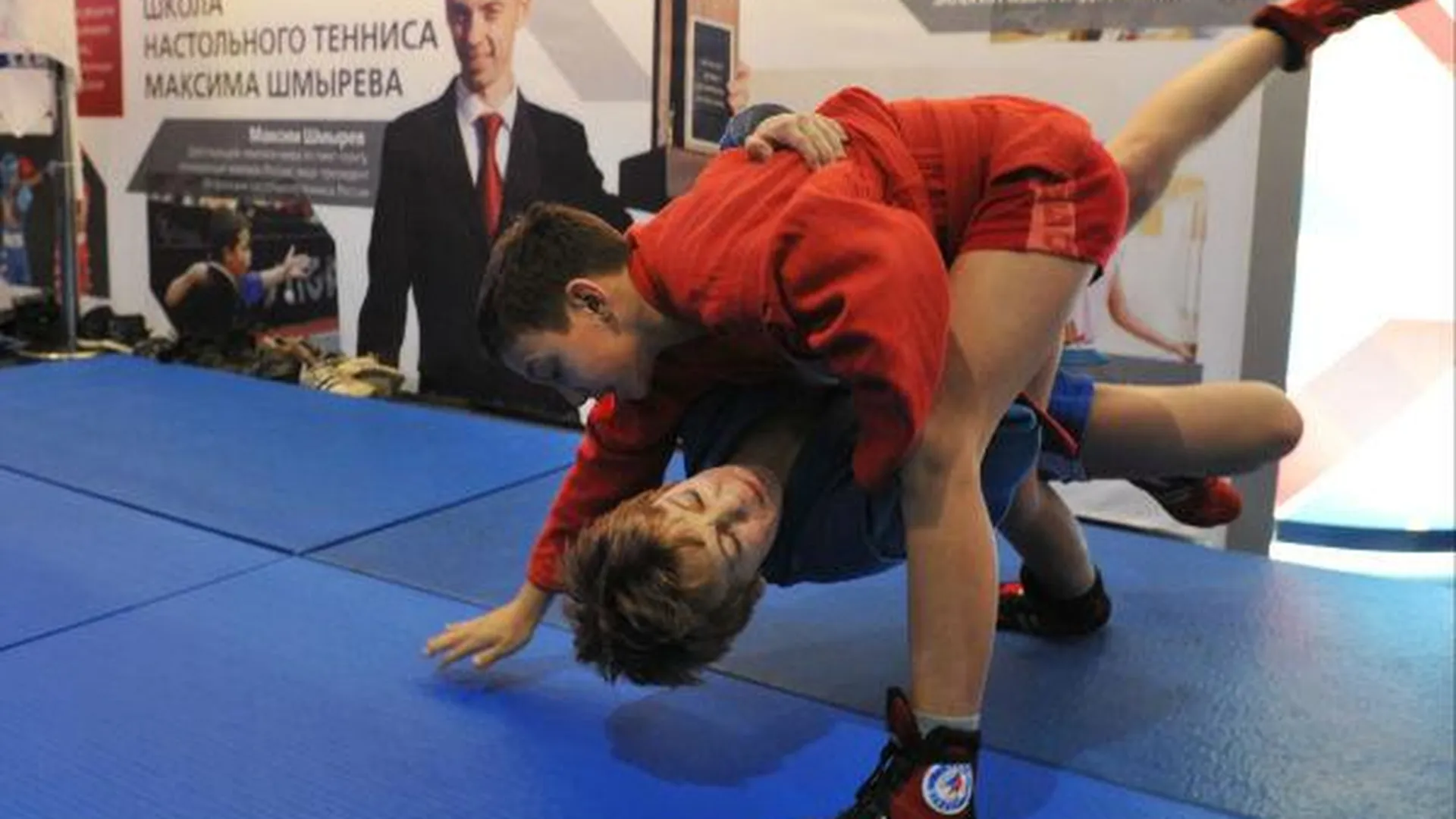 В Солнечногорском районе создали Федерацию спортивной борьбы 