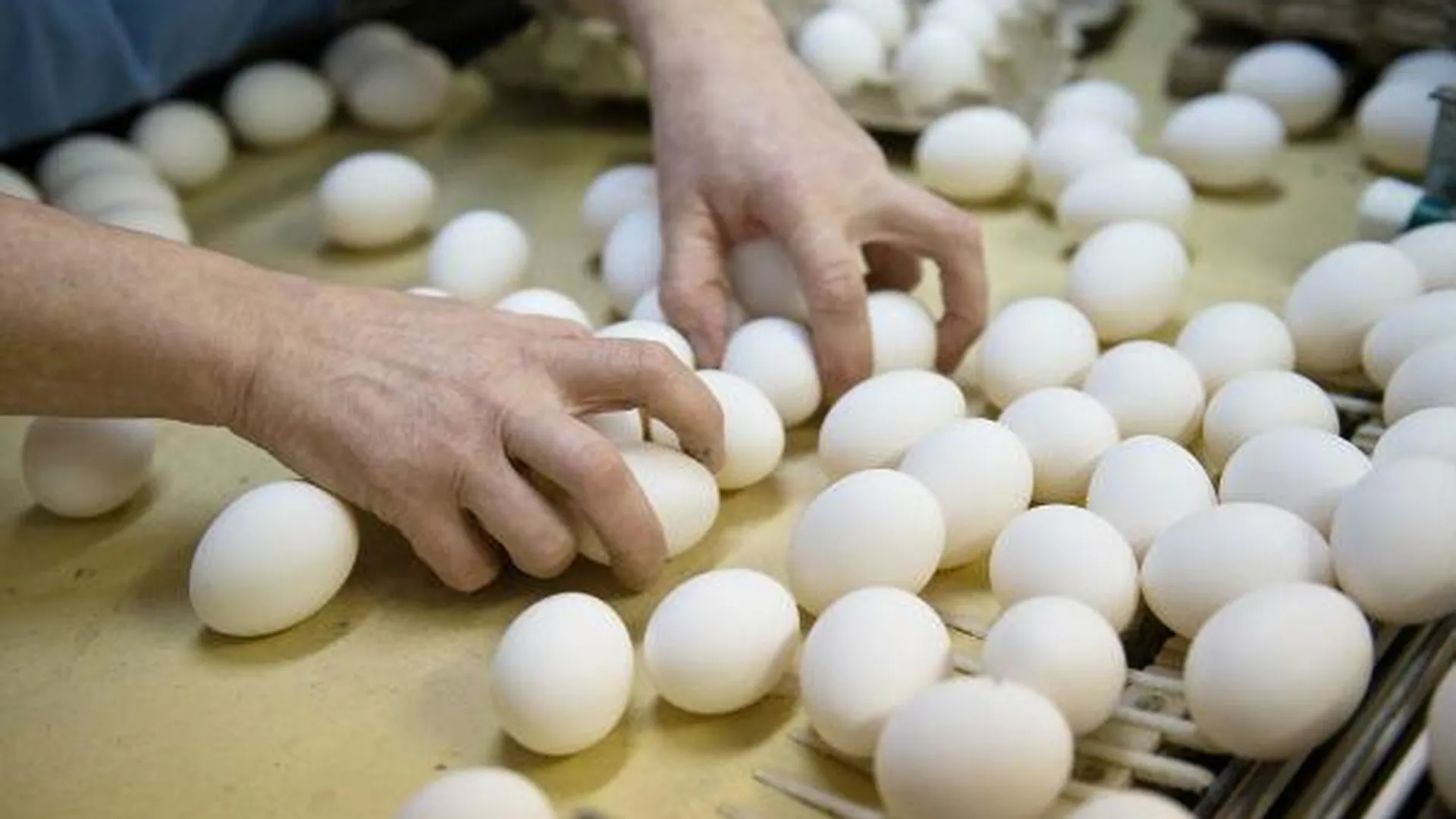 Почти две тысячи французских яиц задержали в «Шереметьево»