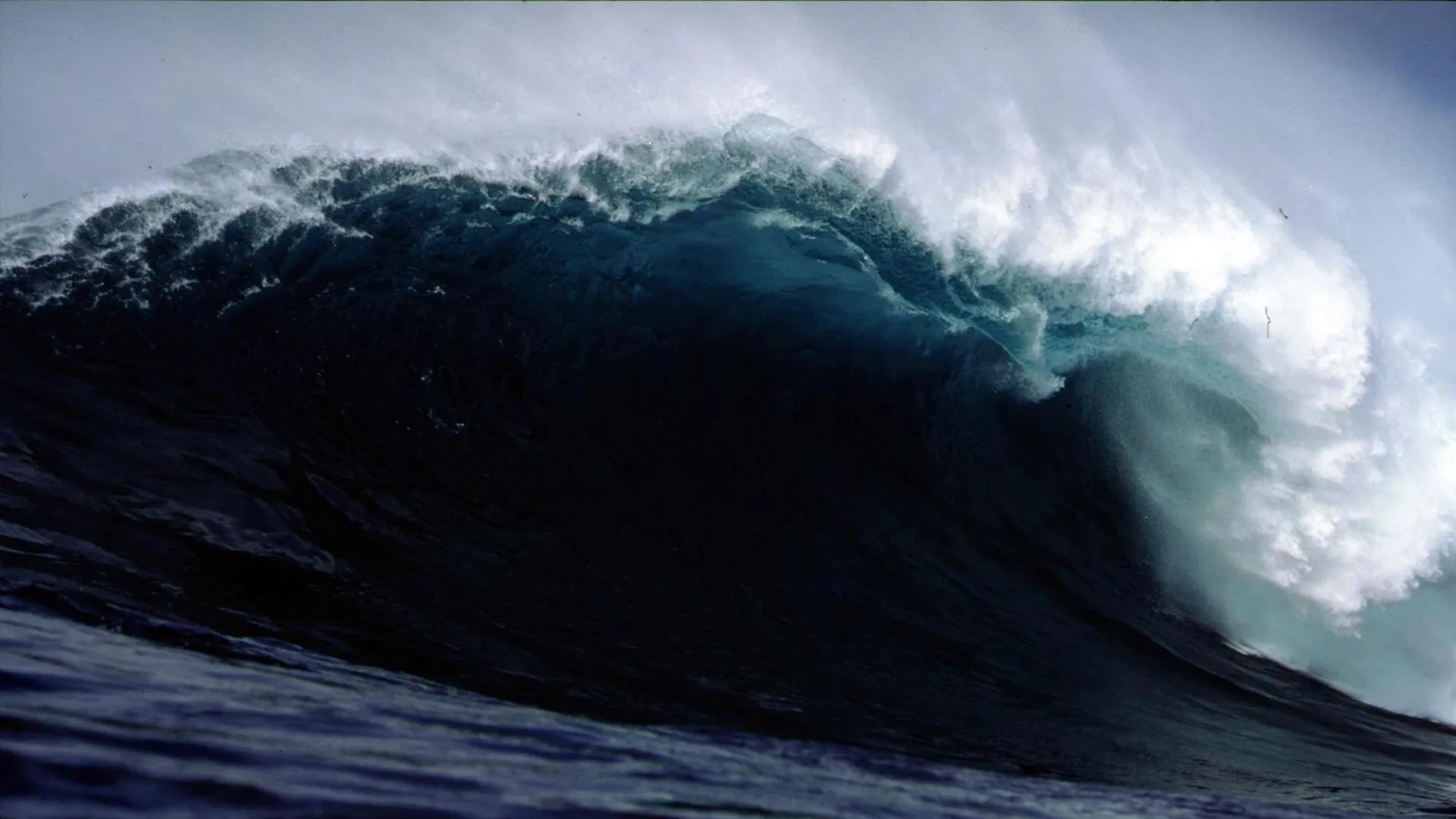 Гигантская волна высотой более 15 метров, вызванная штормами Эль-Ниньо. Фото: s14