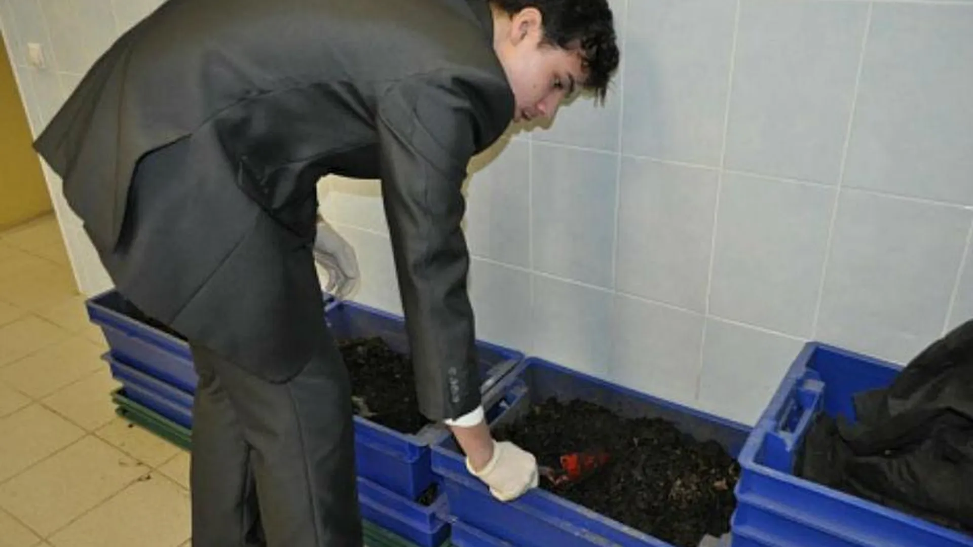 Школьник из Пушкино готовит мусорную революцию