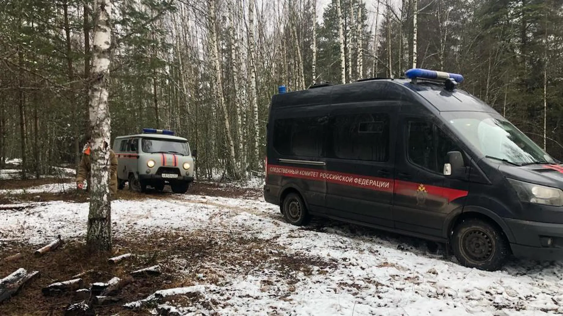 Останки 16-летнего Влада Б. нашли в лесу под Смоленском