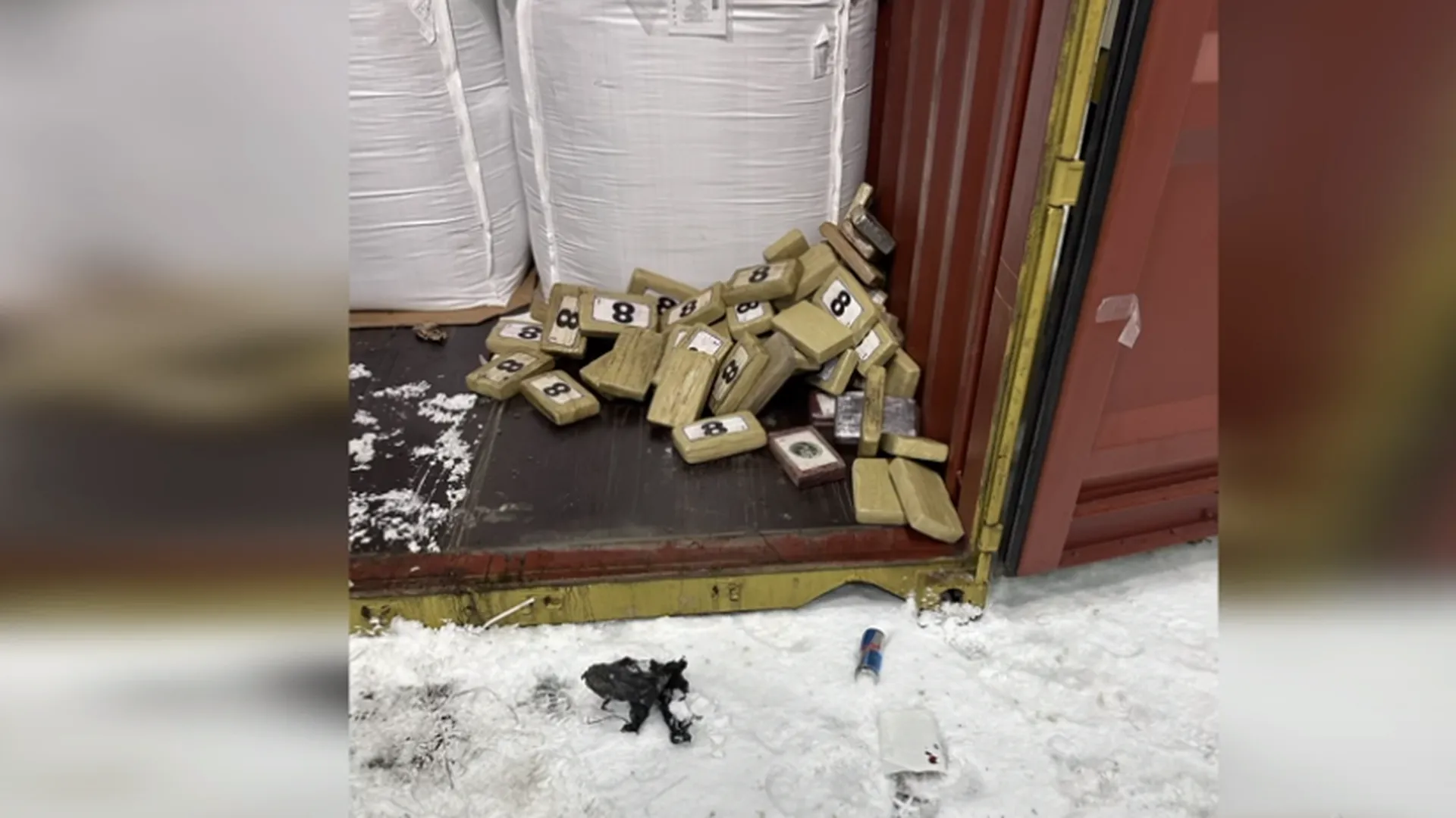Таможенники нашли в петербургском порту партию кокаина на 13 миллиардов рублей
