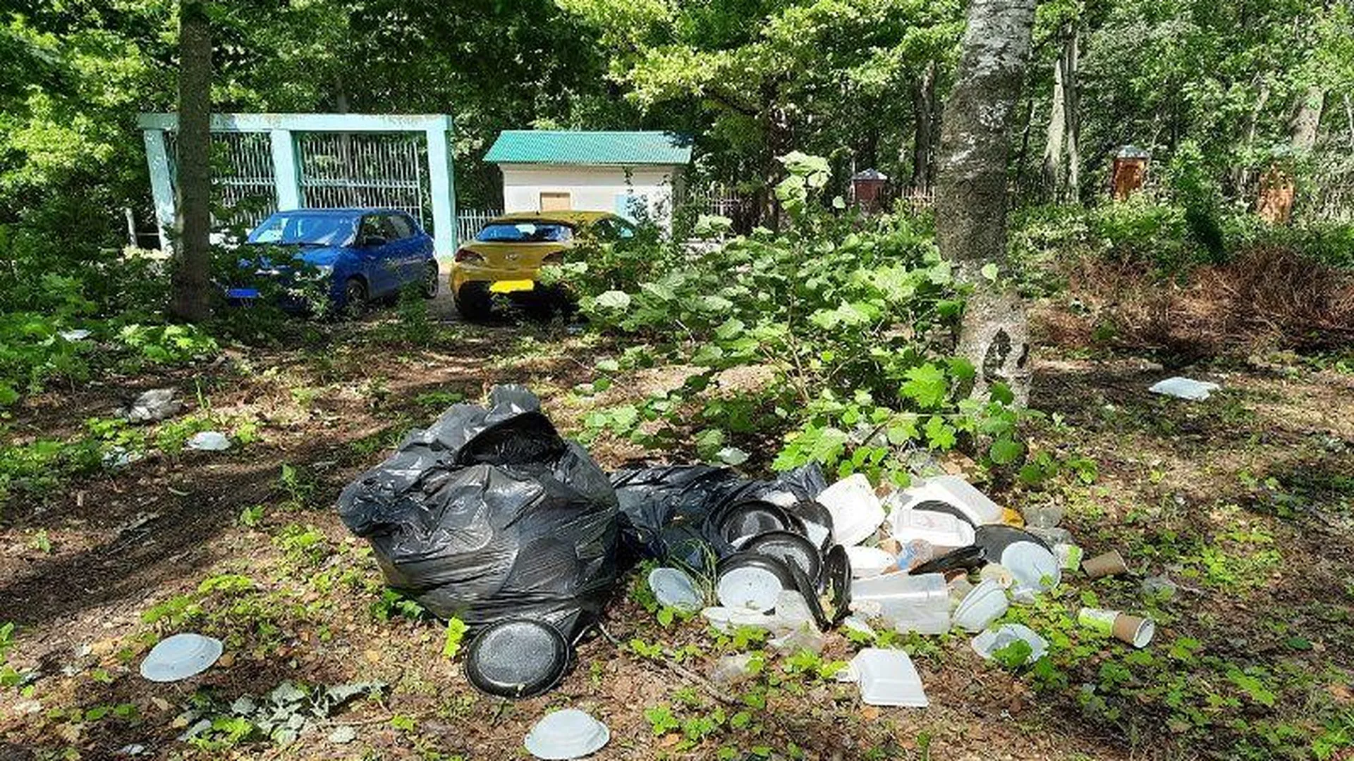 Киношники, оставившие горы мусора после съемок, разозлили горожан в Кубинке
