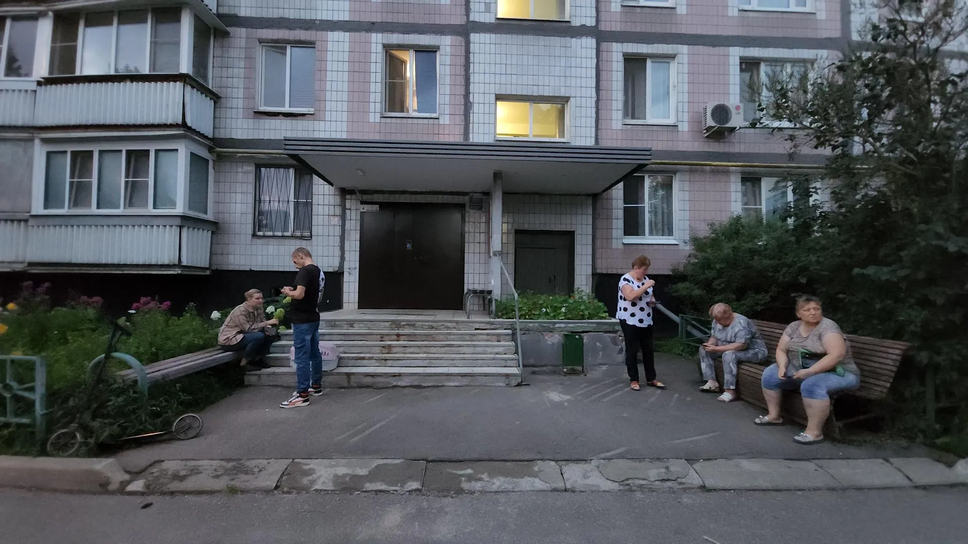 Выпрыгивают из окон запертой квартиры: Жители Лобни пытаются спасти кошек, запертых на 9-м этаже