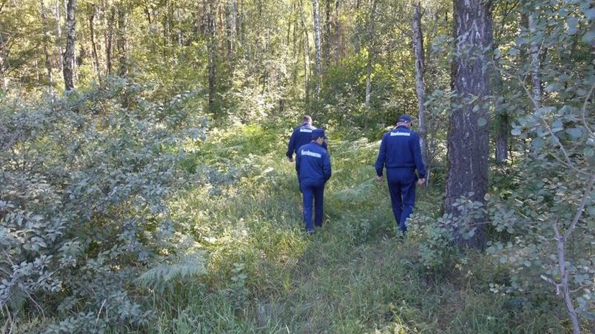 Уже 14 заблудившихся в подмосковных лесах вывели спасатели с начала года