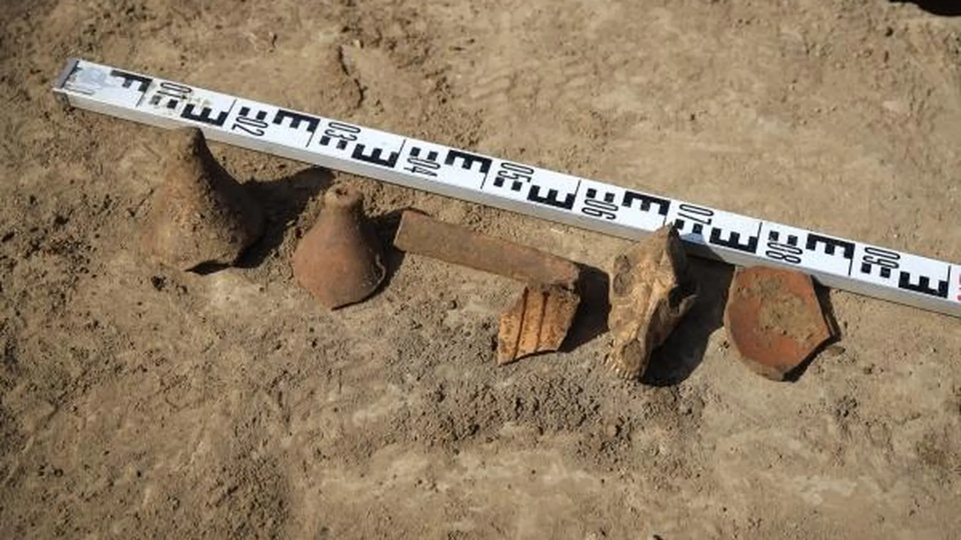 В Кузбассе нашли артефакты, которые старше пирамиды Хеопса