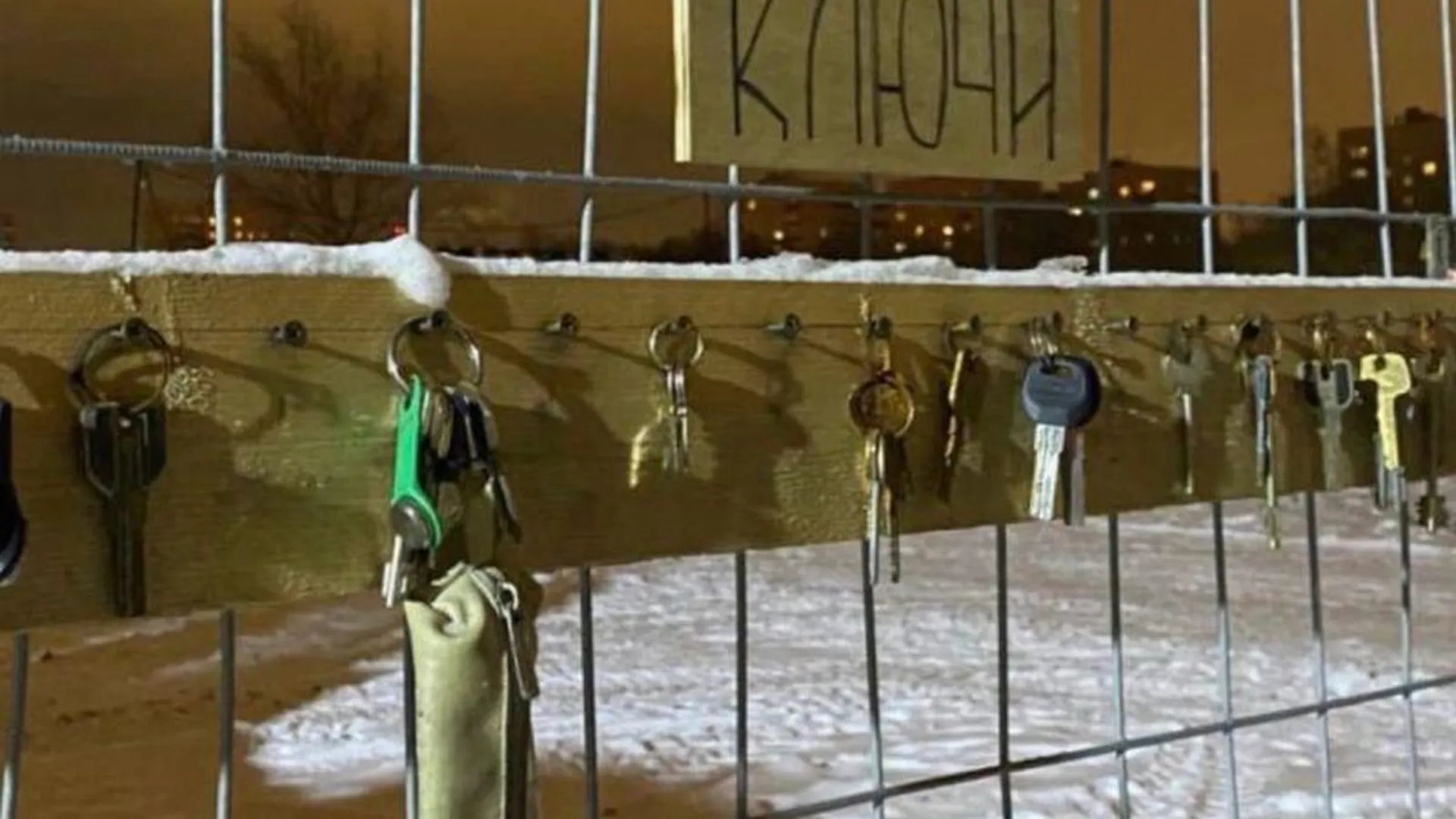 Сотрудники парка организовали место для потерянных ключей в Долгопрудном