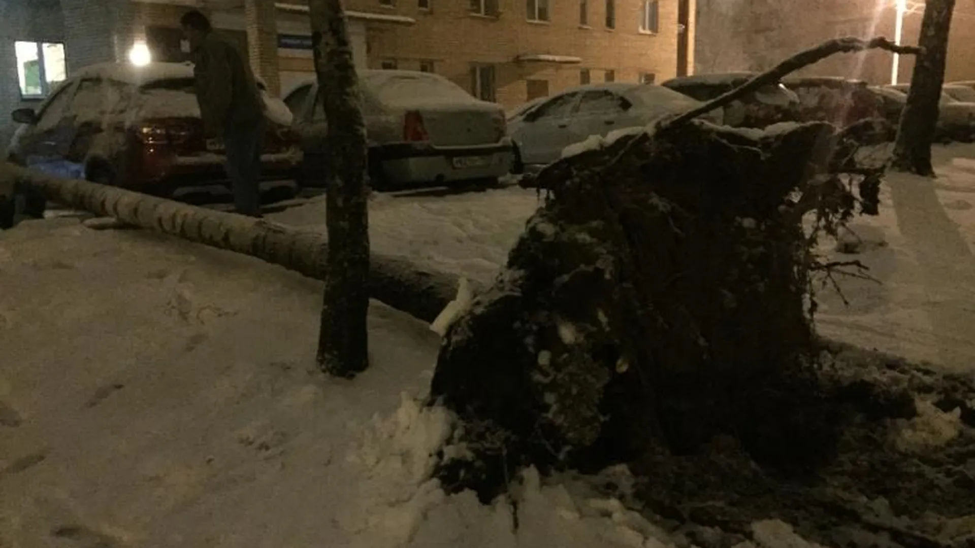 Валил деревья и разбивал машины: что натворил апрельский снегопад в Подмосковье 