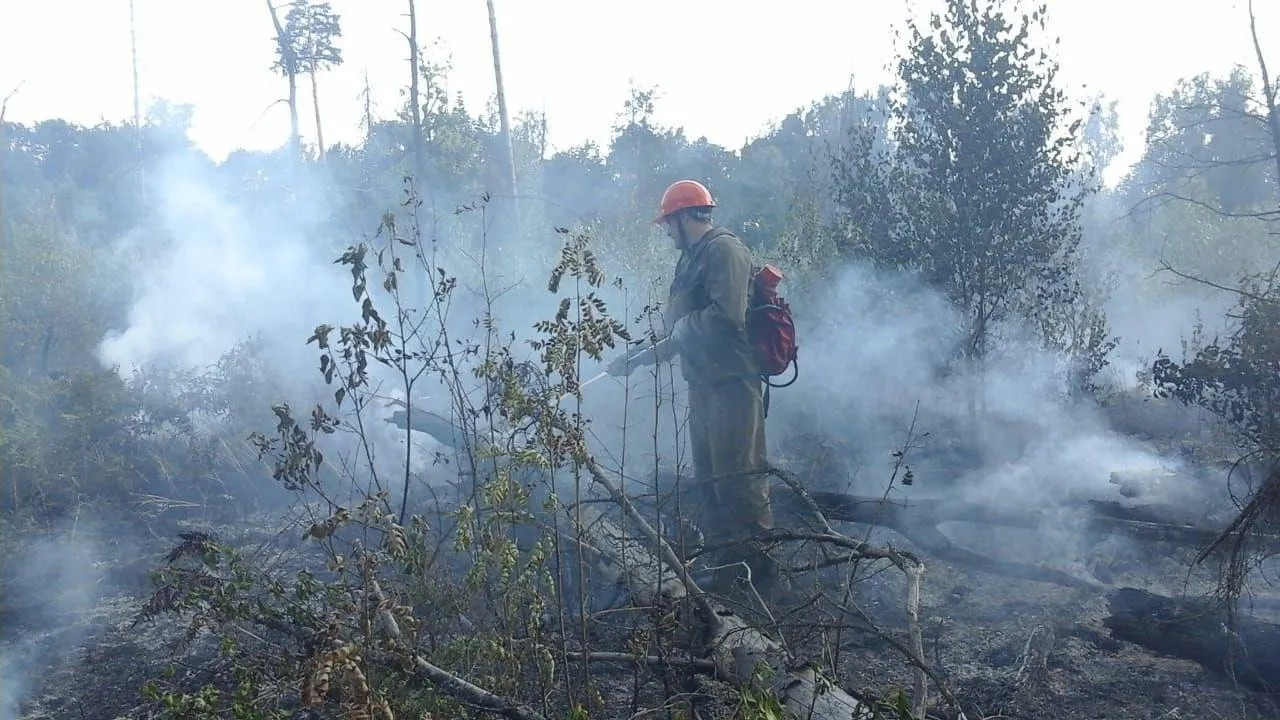 Лесной пожар под Ногинском тушили более четырех часов