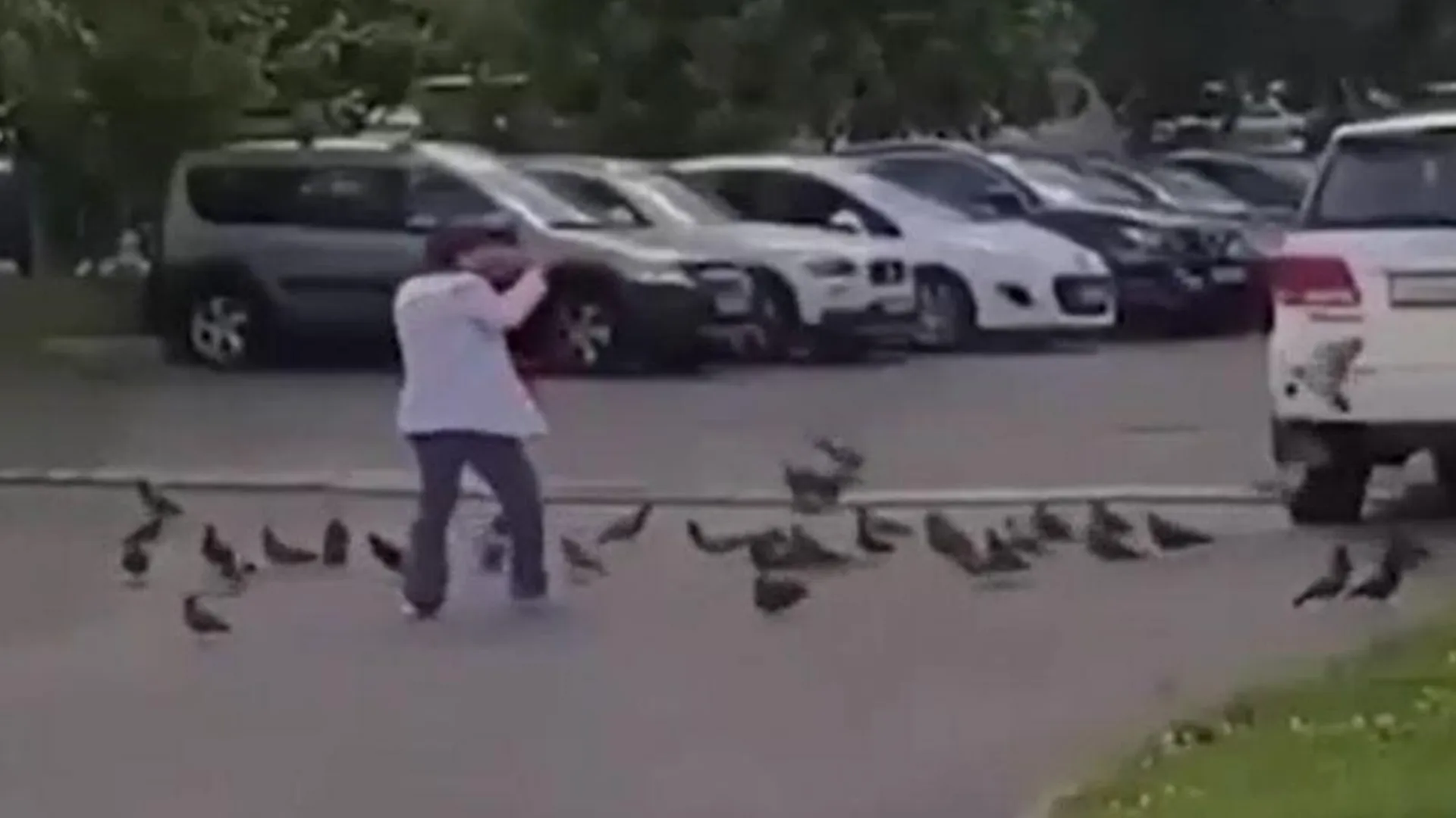 Чудачка из Щелкова развеселила подписчиков соцсети танцем с голубями