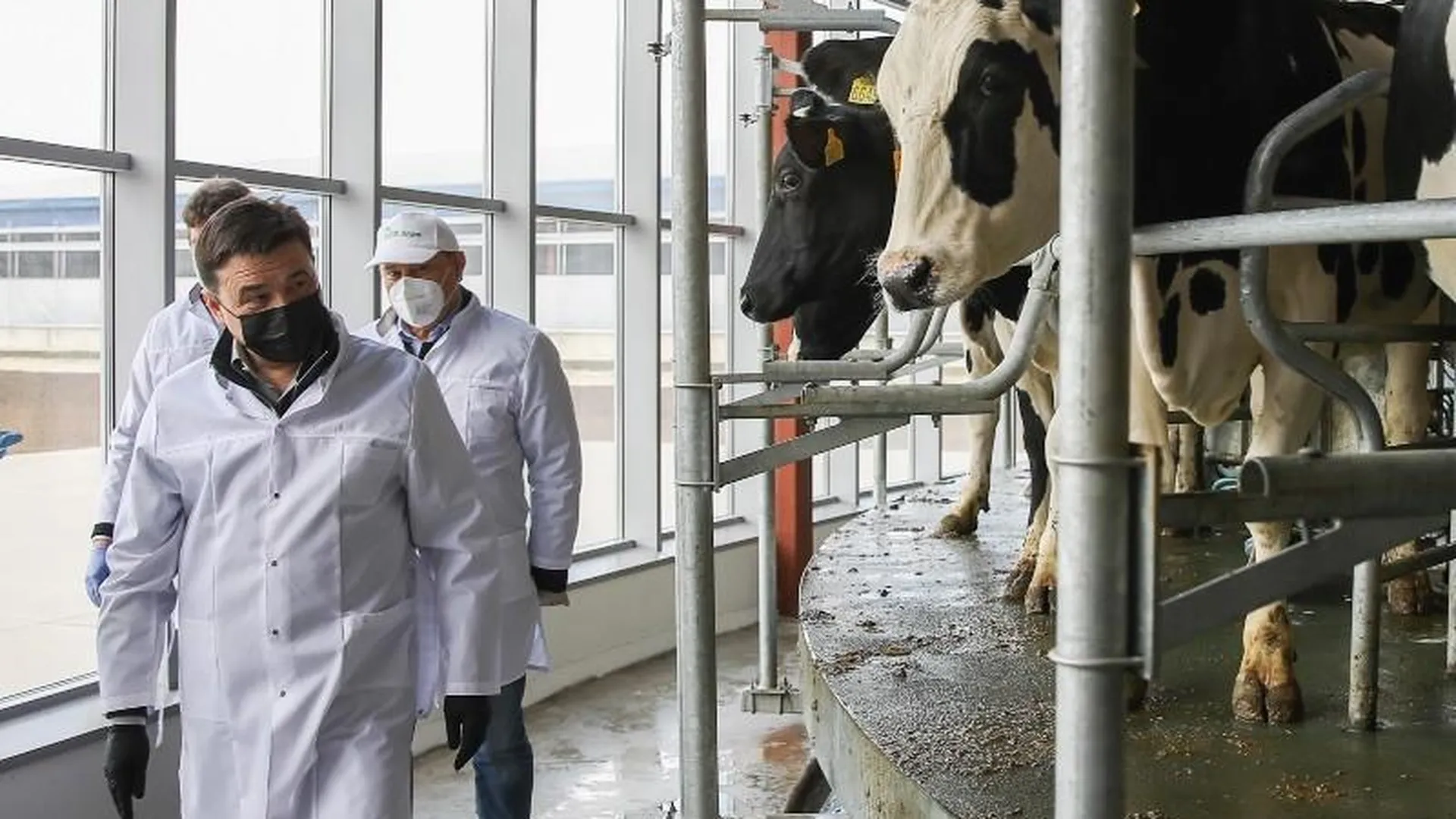 Губернатор проверил работу молочной фермы АО «Агрофирма Сосновка» в Озерах