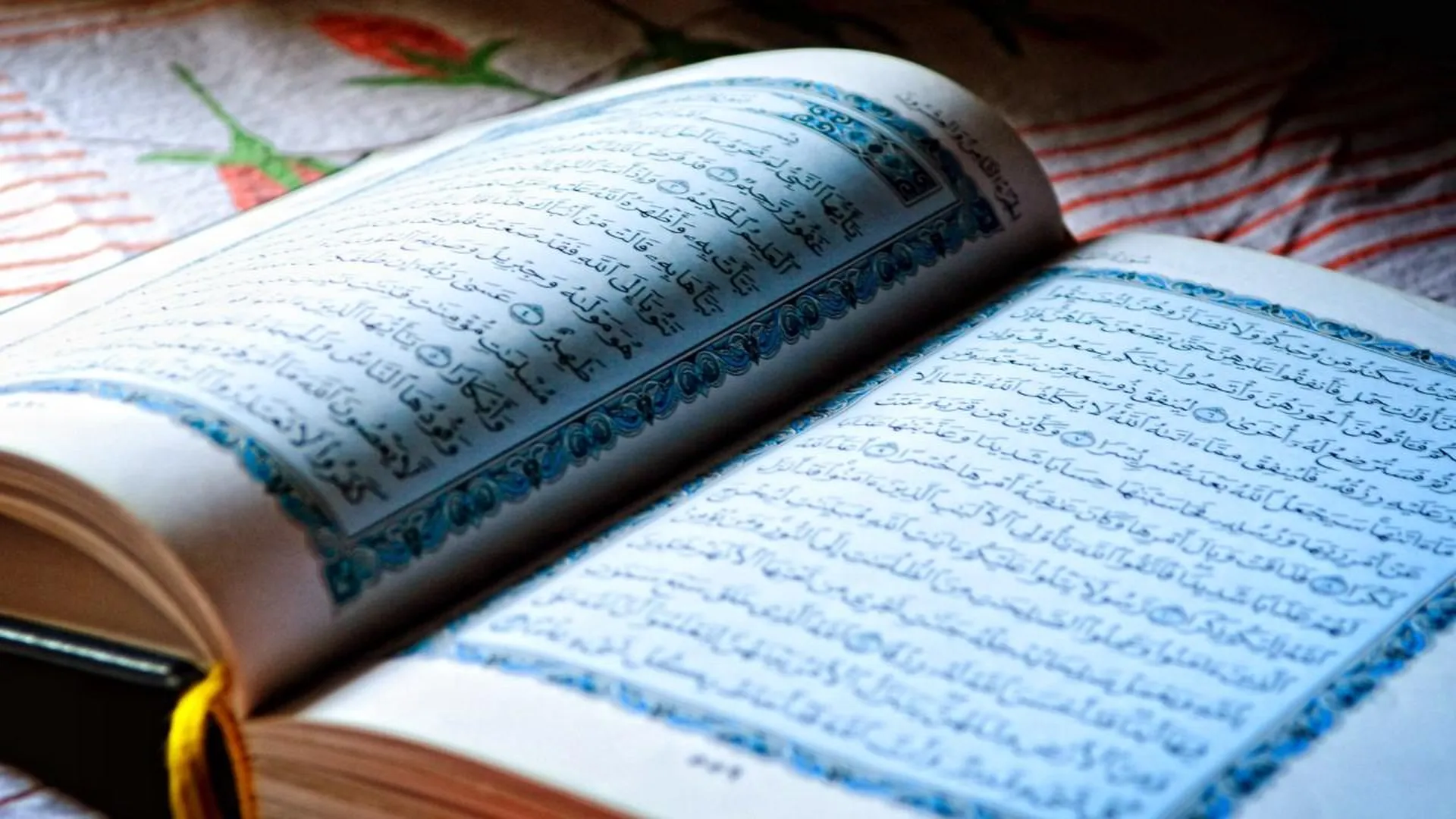 В Швеции вновь прошла акция с сожжением Корана