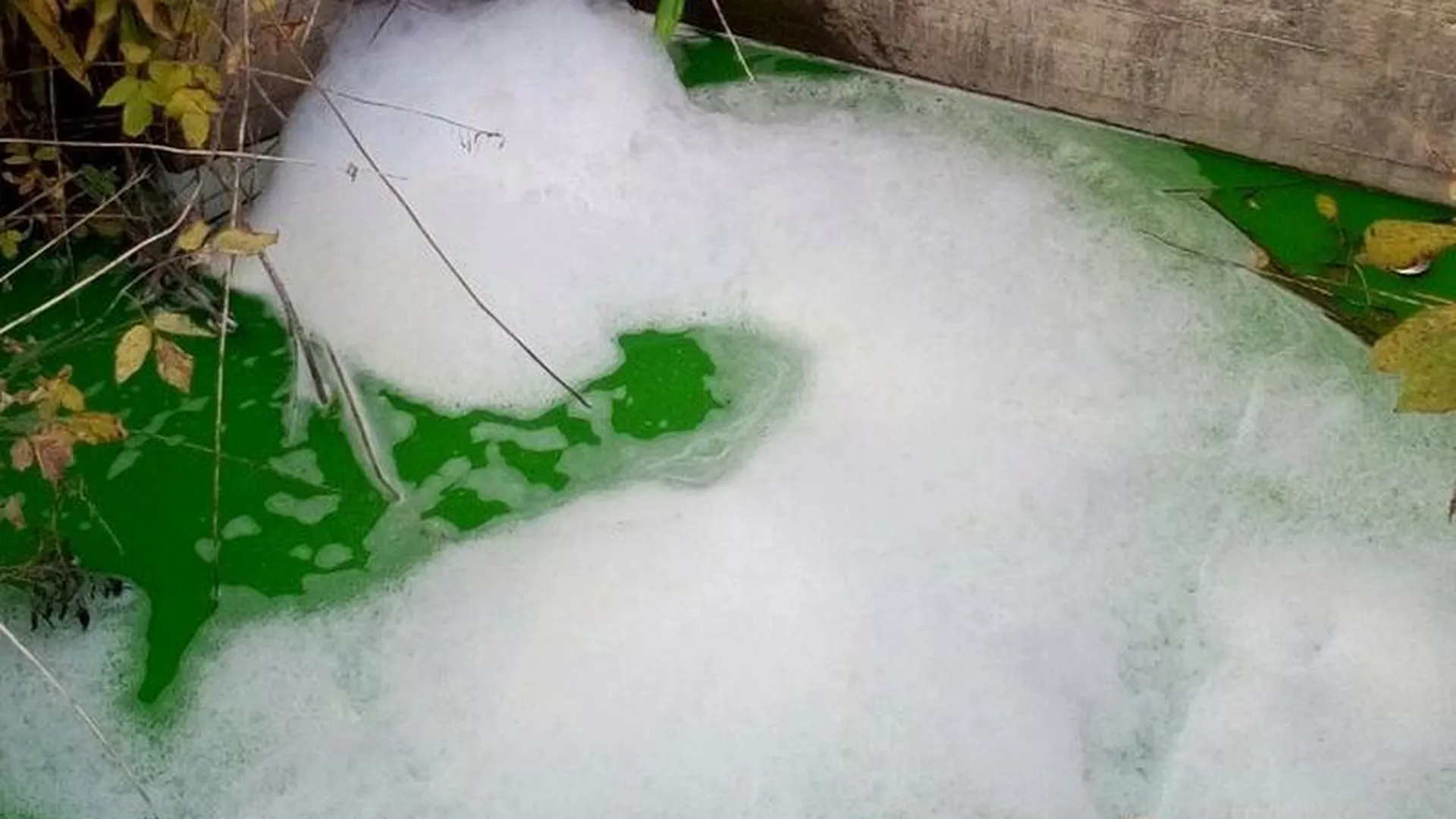 Жителей Климовска напугала зеленая вода
