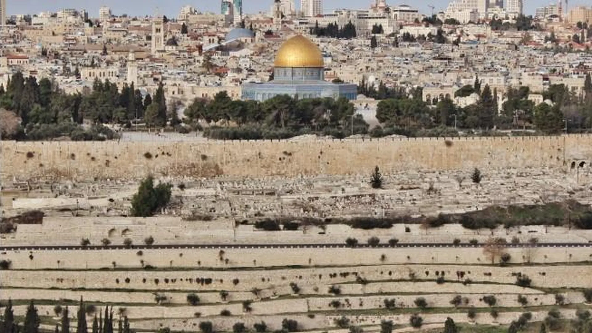 Оккупацию Палестины Израилем рассмотрят в международном суде ООН