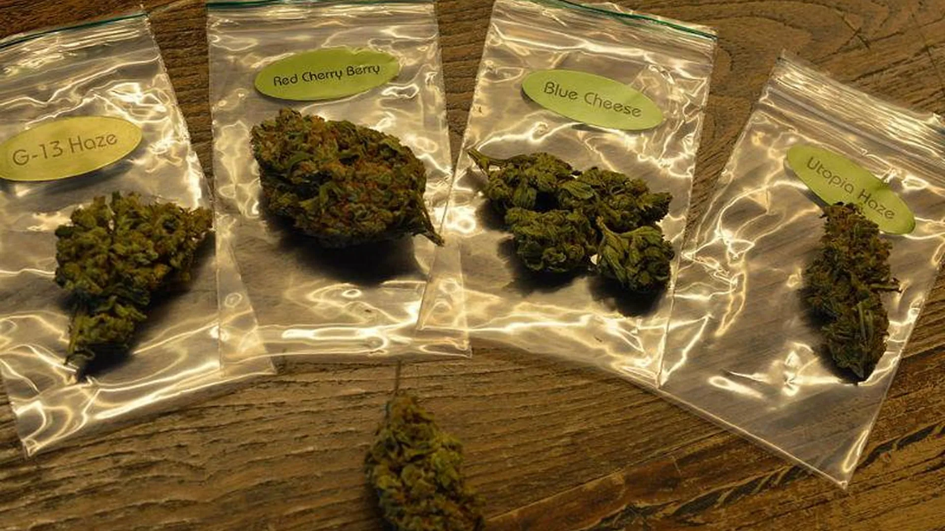 Cannabis Pictures / wikimedia.org