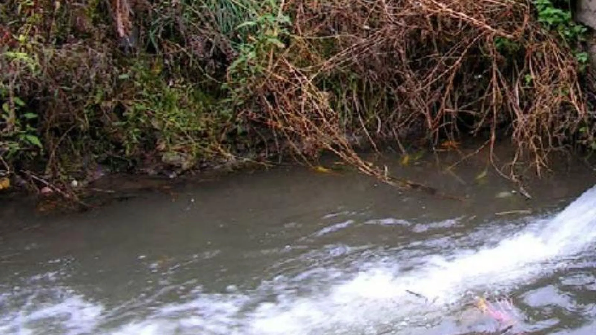 Домовладелец в Истринском районе загрязнял реку каменной пылью