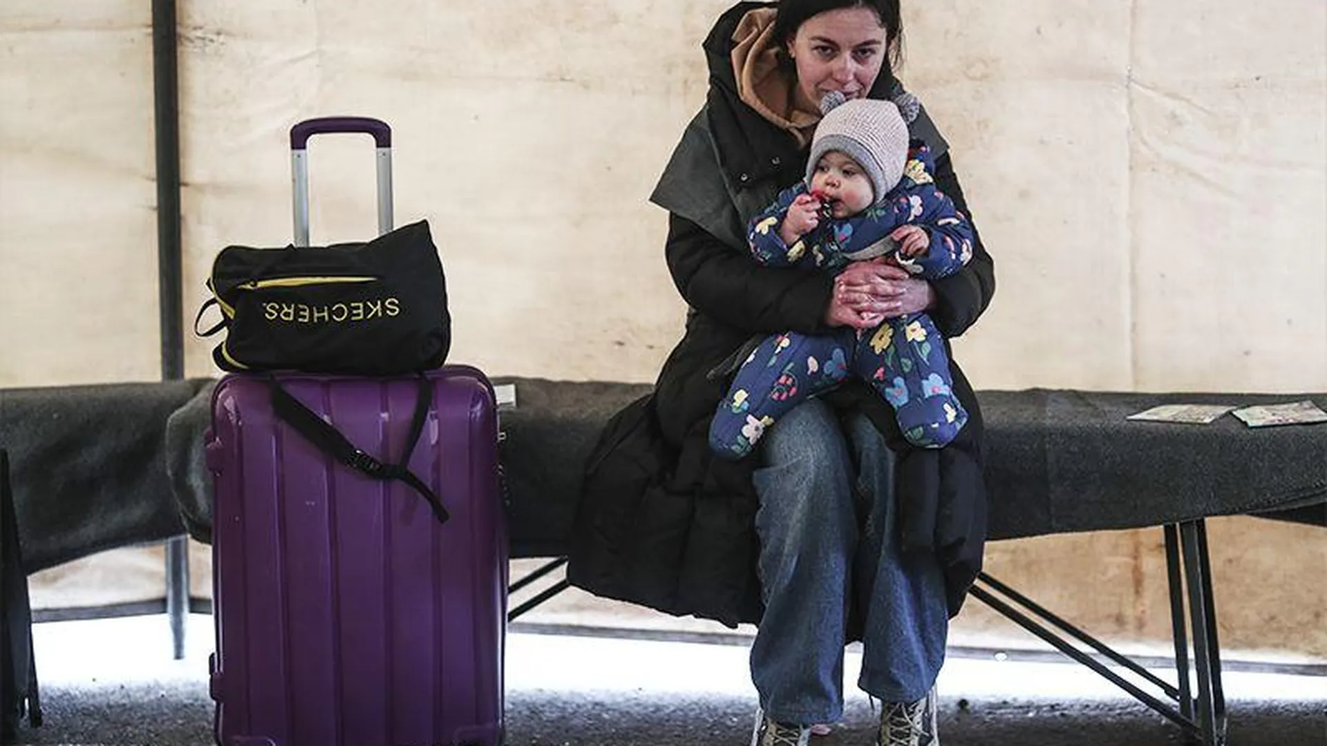 Украинских беженцев массово выгоняют из отеля в Ирландии
