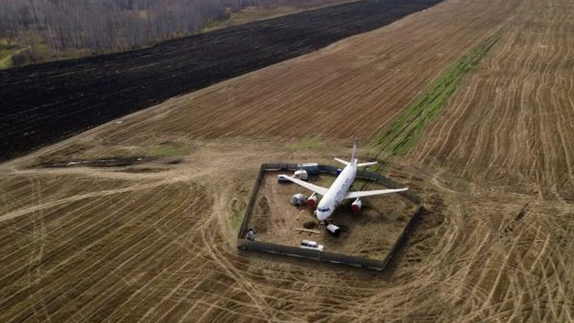 Расследование экстренной посадки самолета в пшеничном поле под Новосибирском продолжили