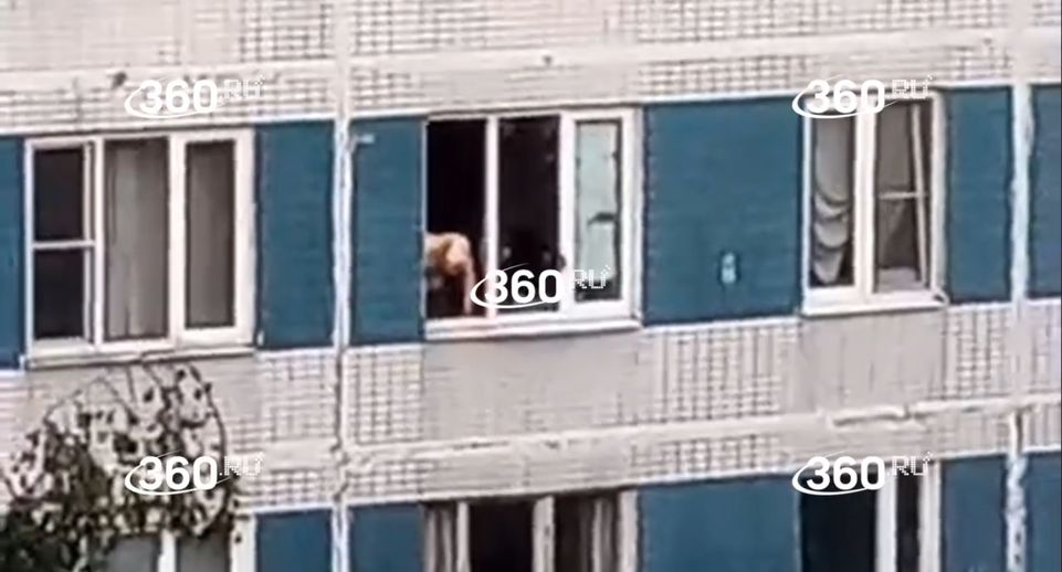 Источник 360.ru: окровавленный москвич бил окна и бросал бутылки в Бибирево
