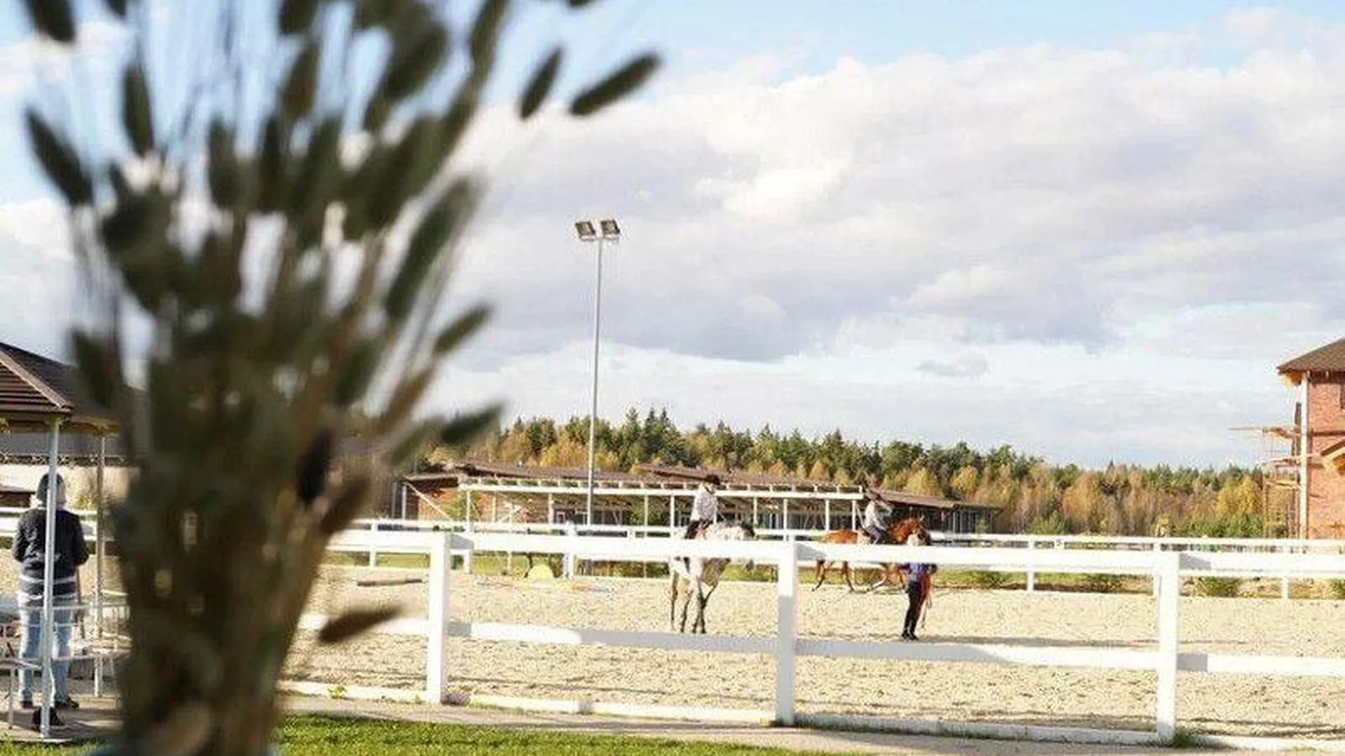 В Черноголовке появится комплекс для развития конного спорта России