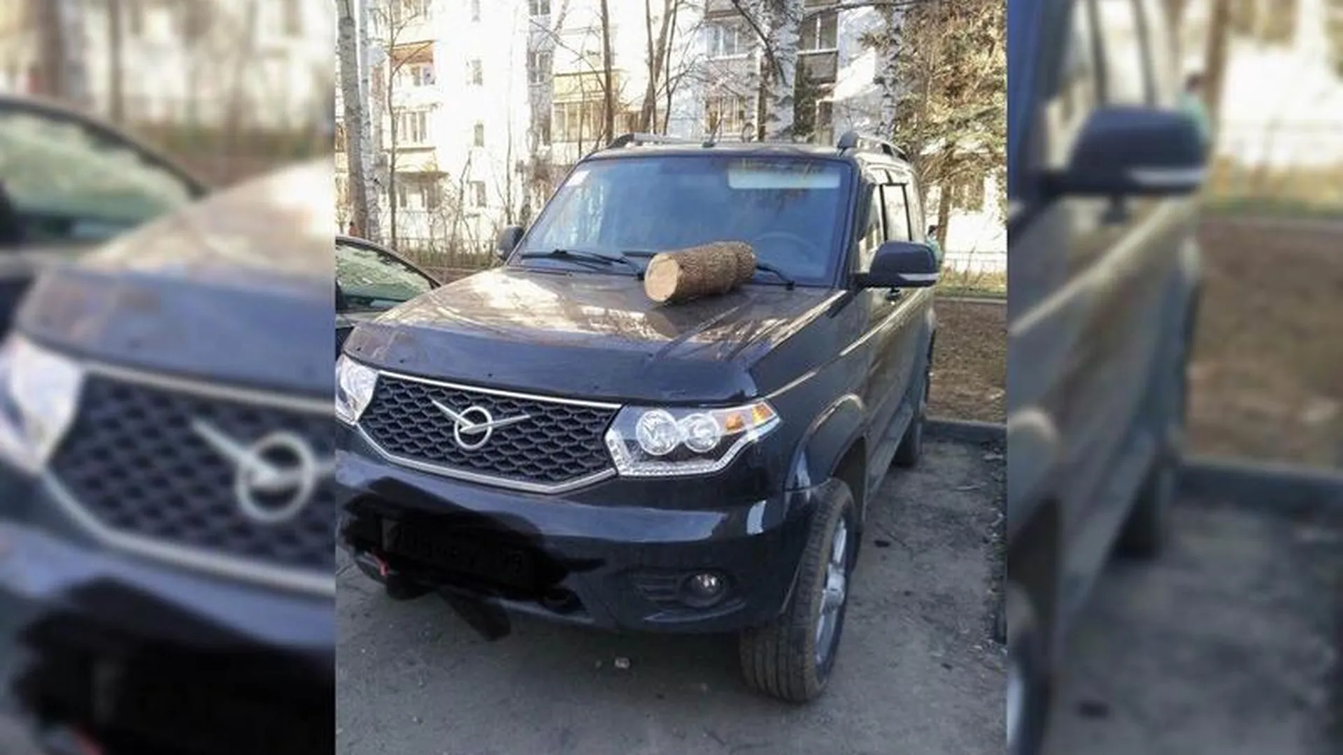 Парковочный мститель объявился в Пушкино
