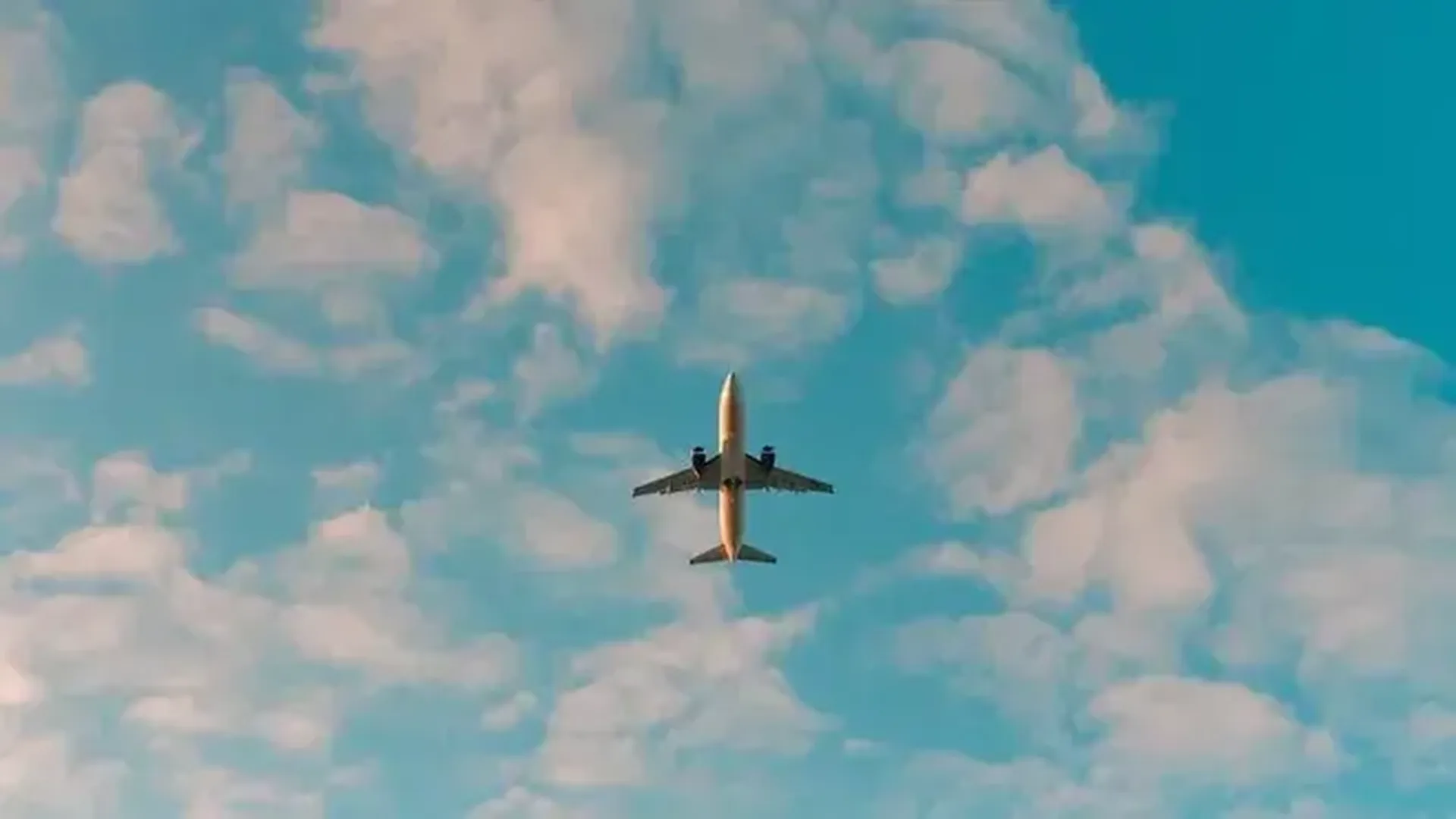 Самолет Пригожина перед вылетом осматривали покупатели — СМИ