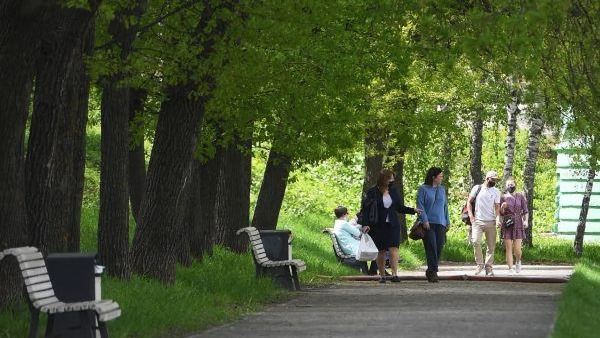 Благоустройство Дулевского парка проведут в Ликино-Дулево в 2021 году