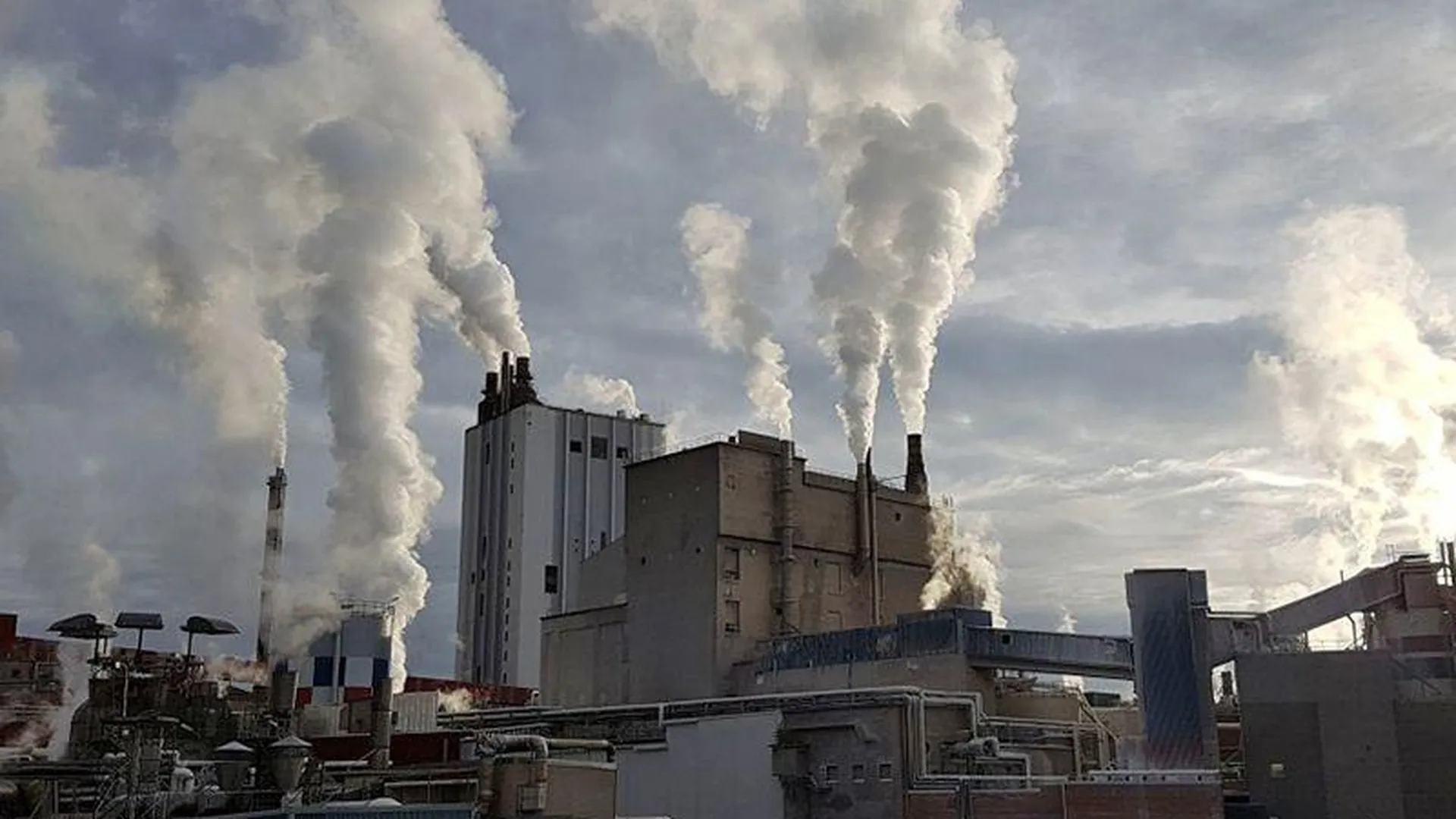 Почему грязные заводы так нужны человечеству — мнение эколога