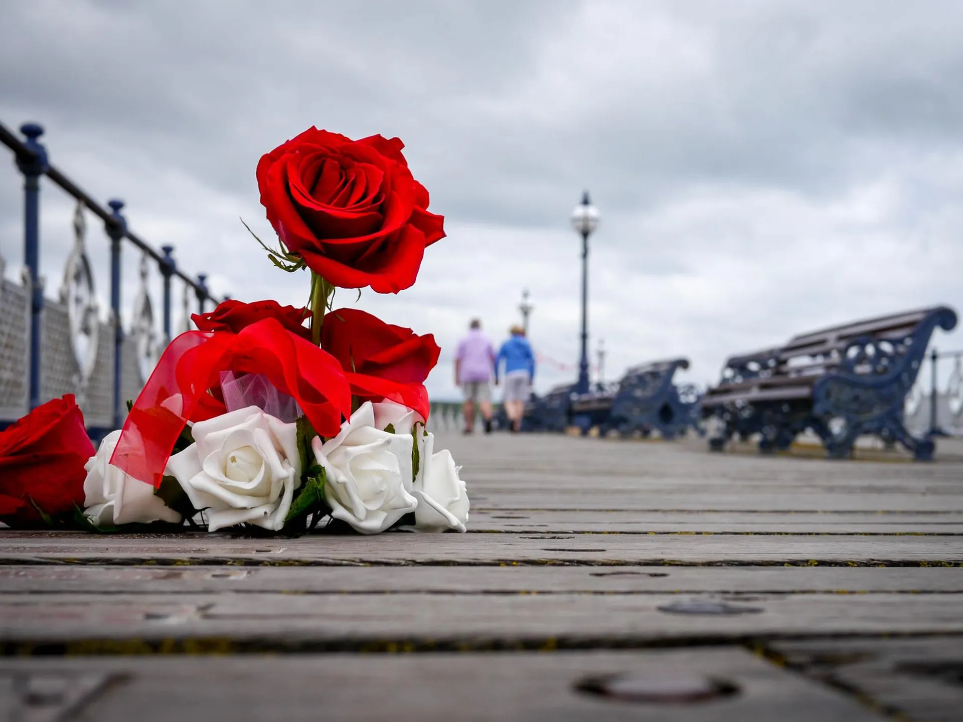 Простые петербуржцы несут цветы к месту падения автобуса с моста, где погибли семь человек