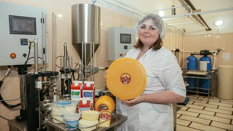 Особенный сыр с ореховым вкусом начали производить в Одинцове