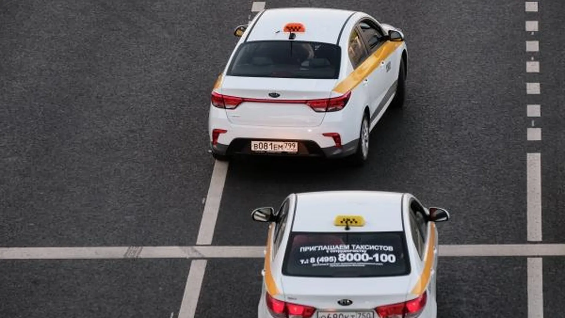 Подмосковные таксисты оценили риски введения единой базы данных водителей