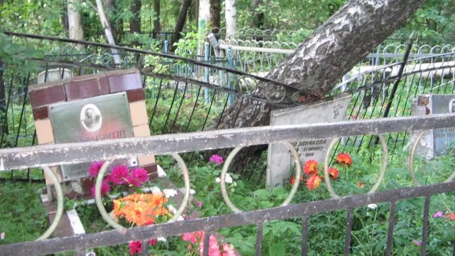 Активисты ОНФ проконтролируют благоустройство кладбища под Ступином