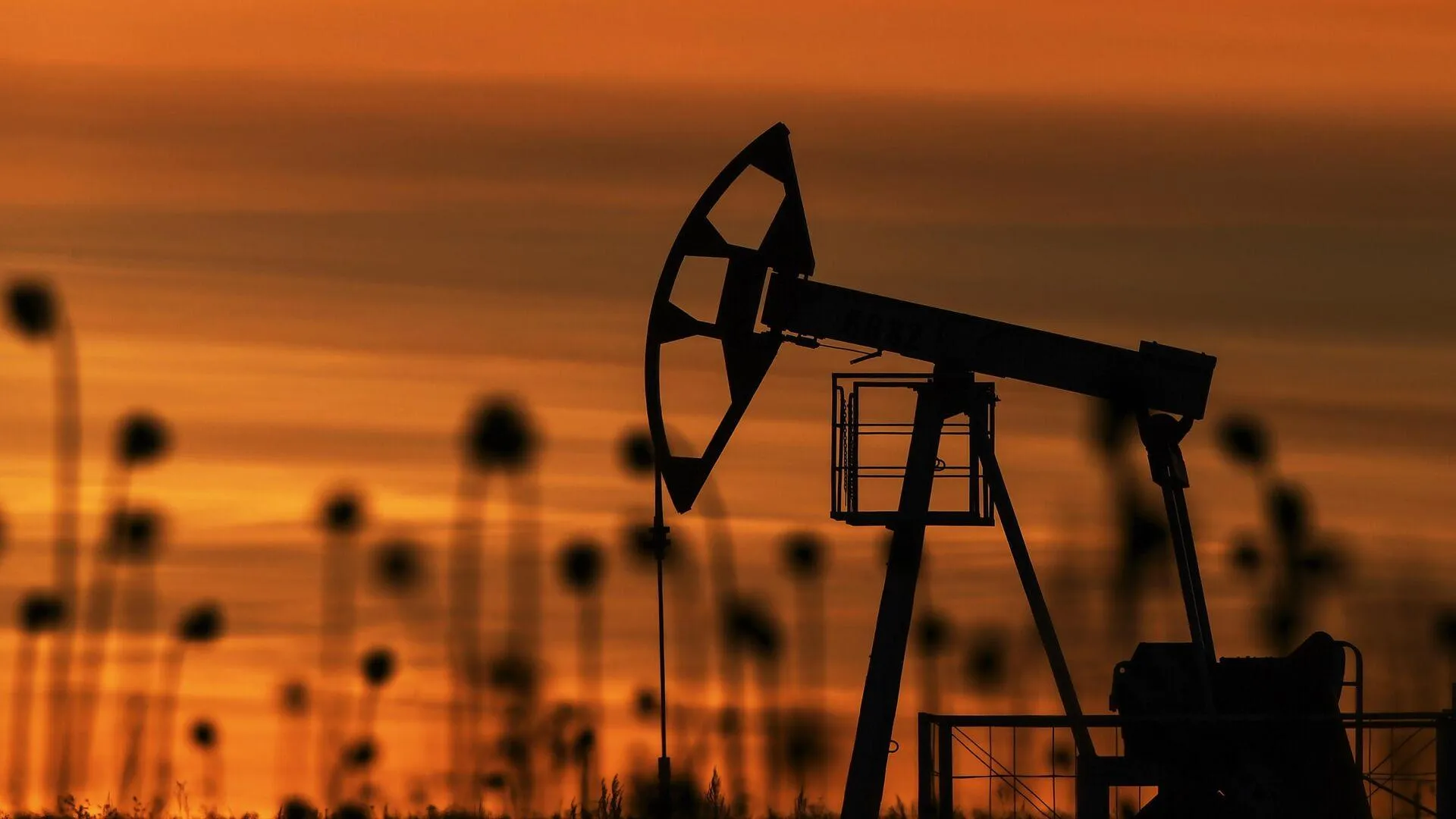 Парламент Казахстана ратифицировал закон о транзите российской нефти в Китай