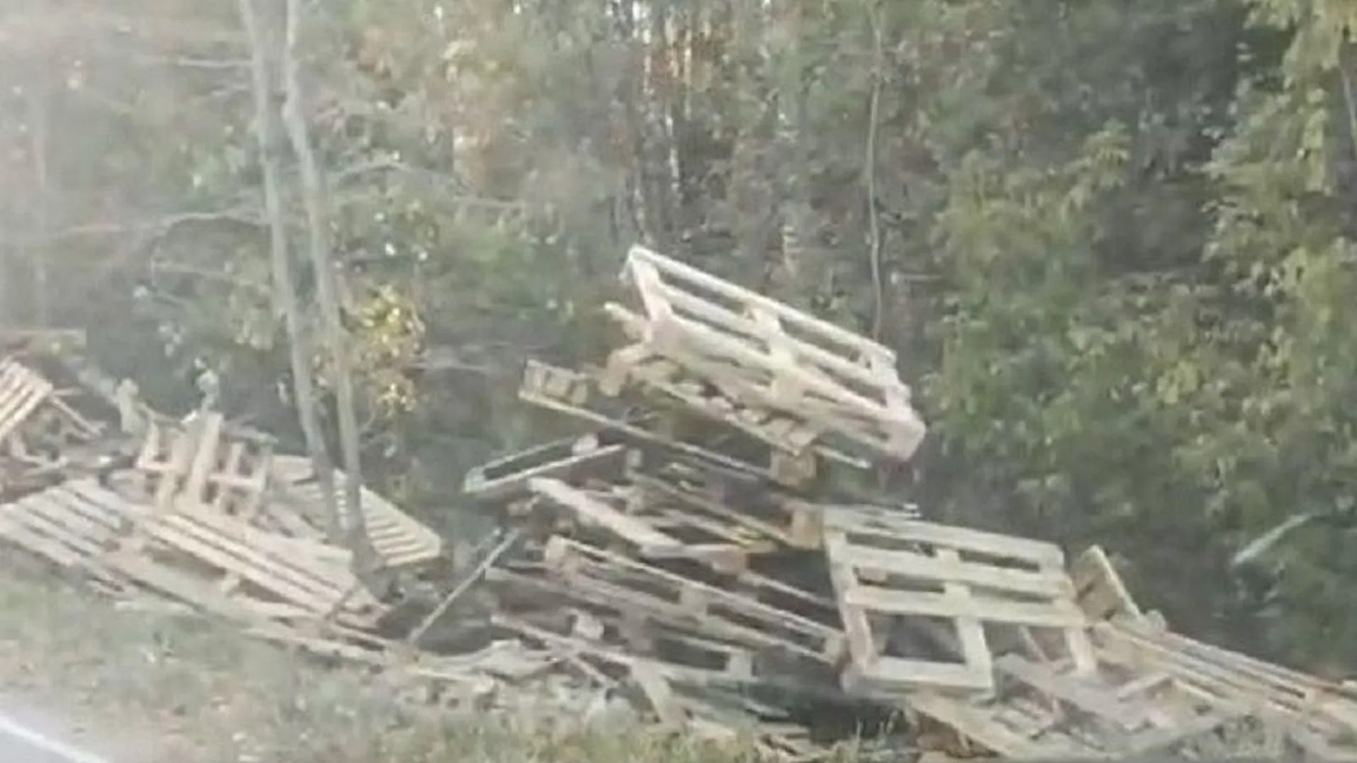 Пожароопасная свалка на обочине в лесу обеспокоила жителей деревни рядом с Черноголовкой