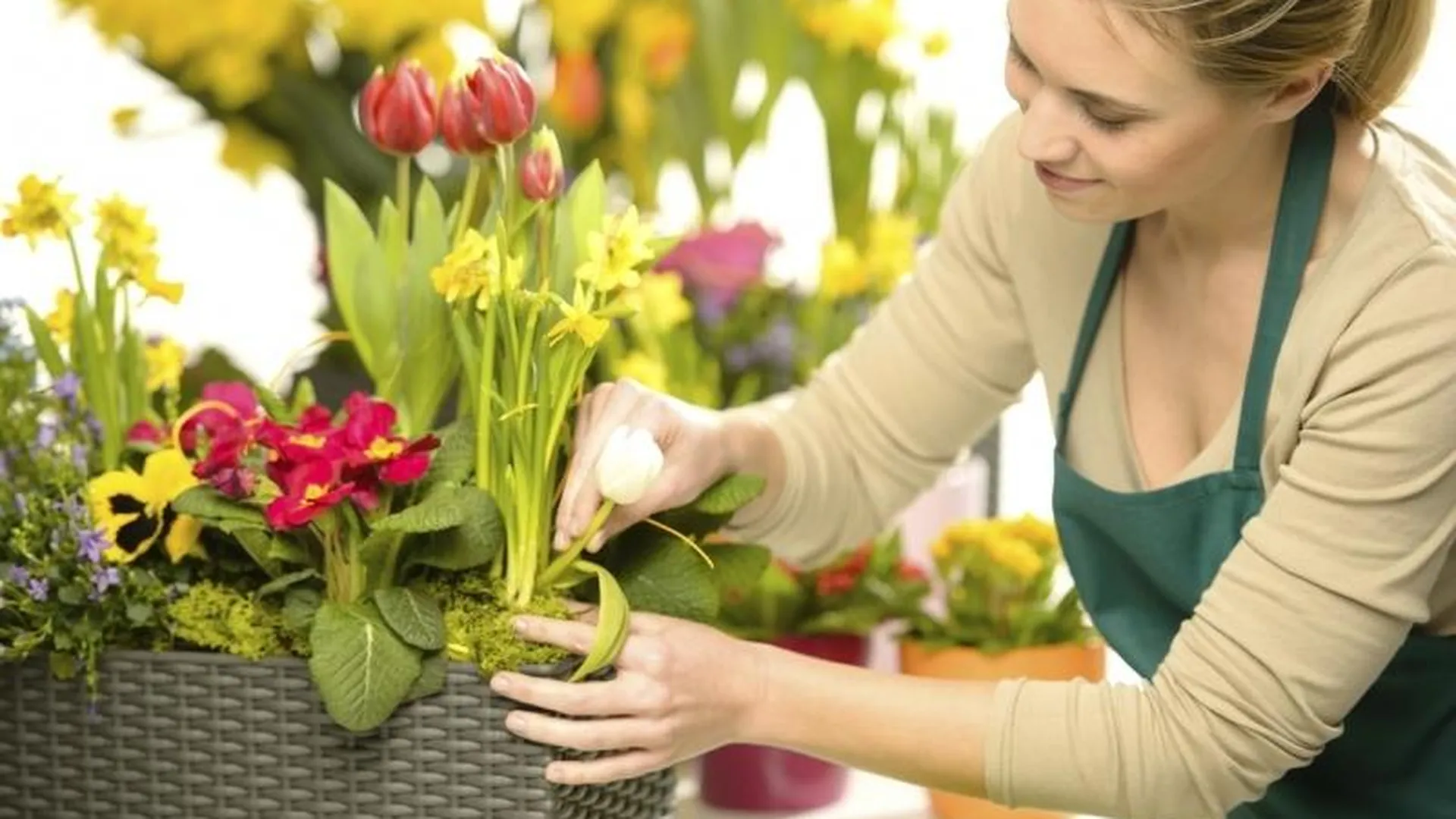 Бутон на зубочистке: областные флористы рассказали, как пристроить увядшие цветы