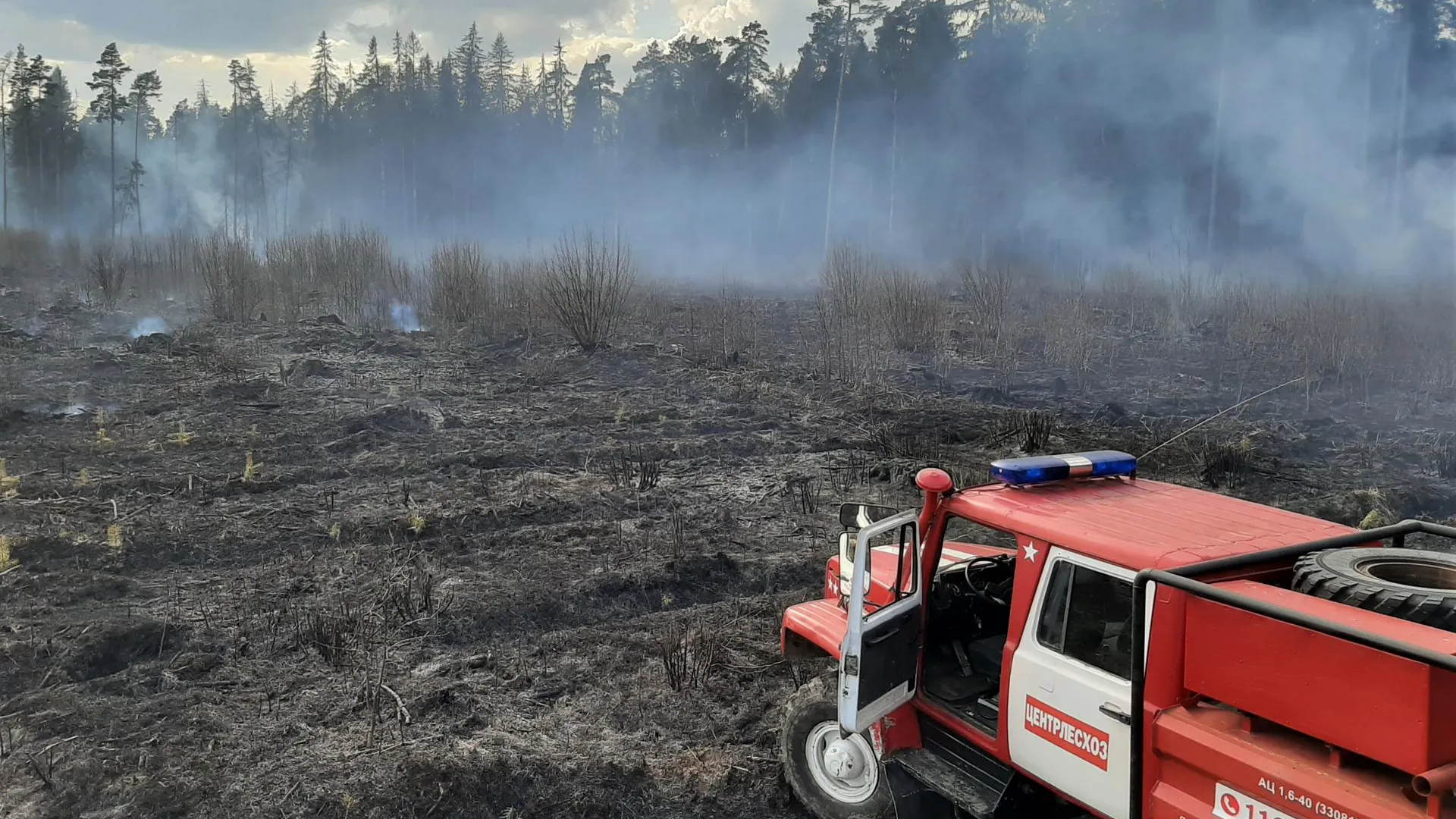Комлесхоз Подмосковья: ограничение на посещение лесов ввели в регионе из-за высокой пожарной опасности