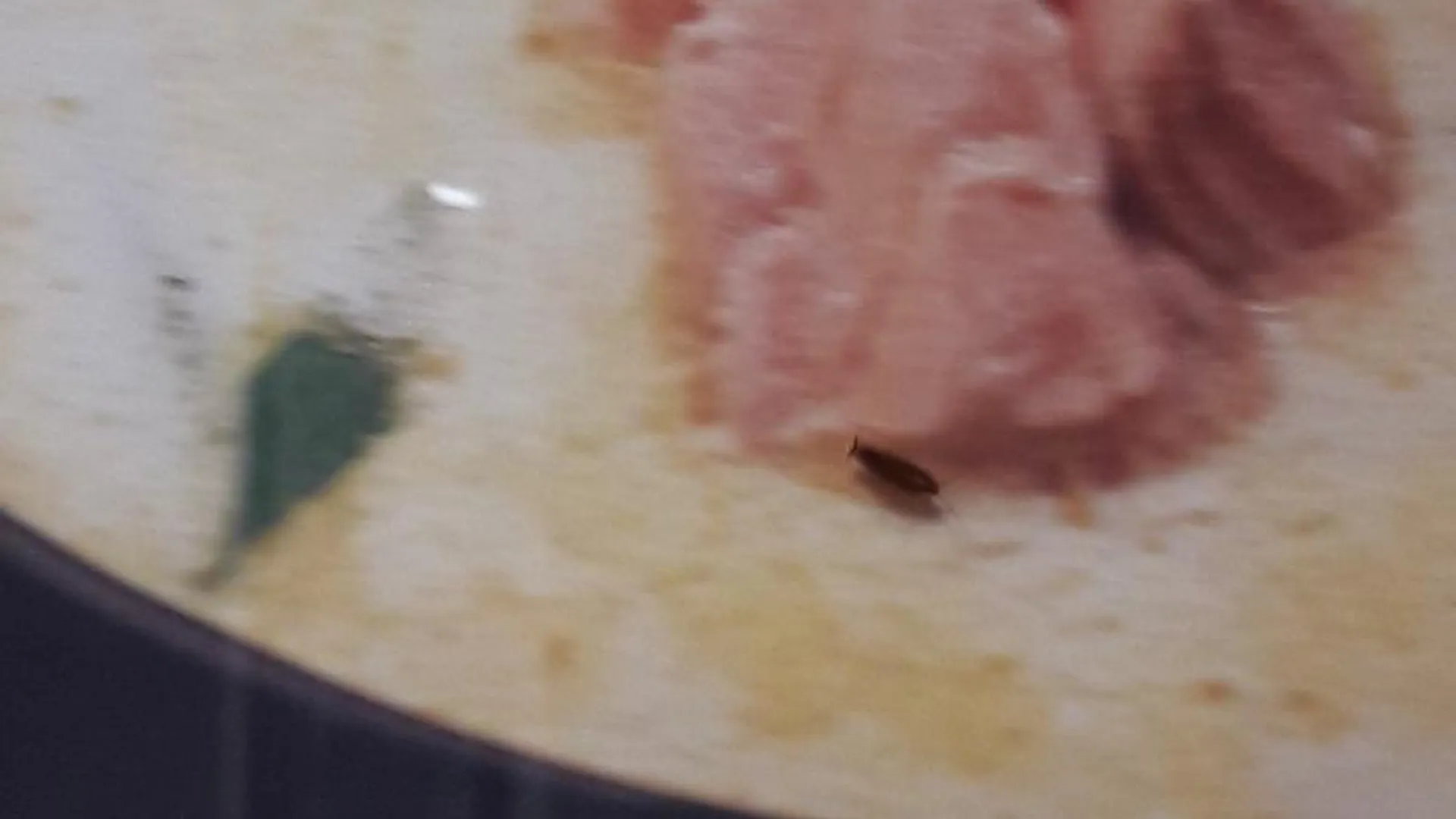 Блюда с тараканами подают в кафе в Озерах