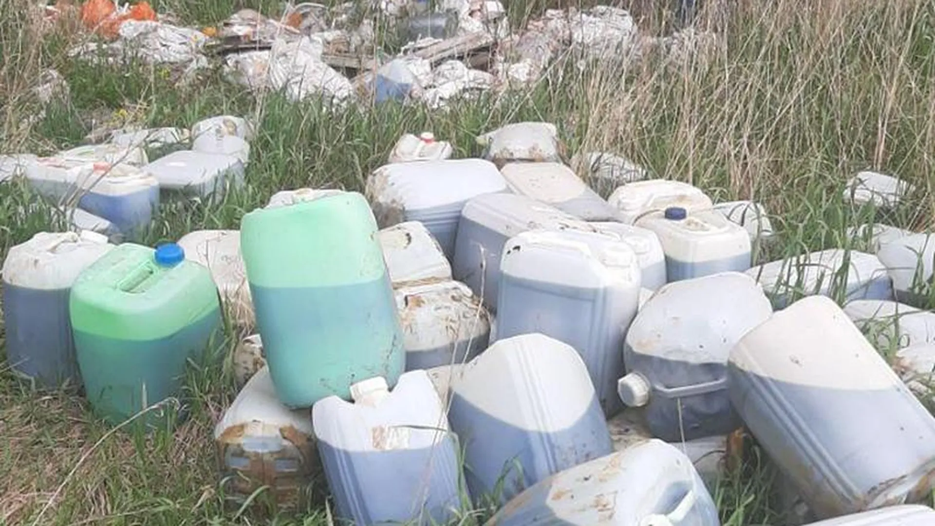 Экологи ликвидировали нелегальную свалку химикатов у реки Тарусы под Наро-Фоминском