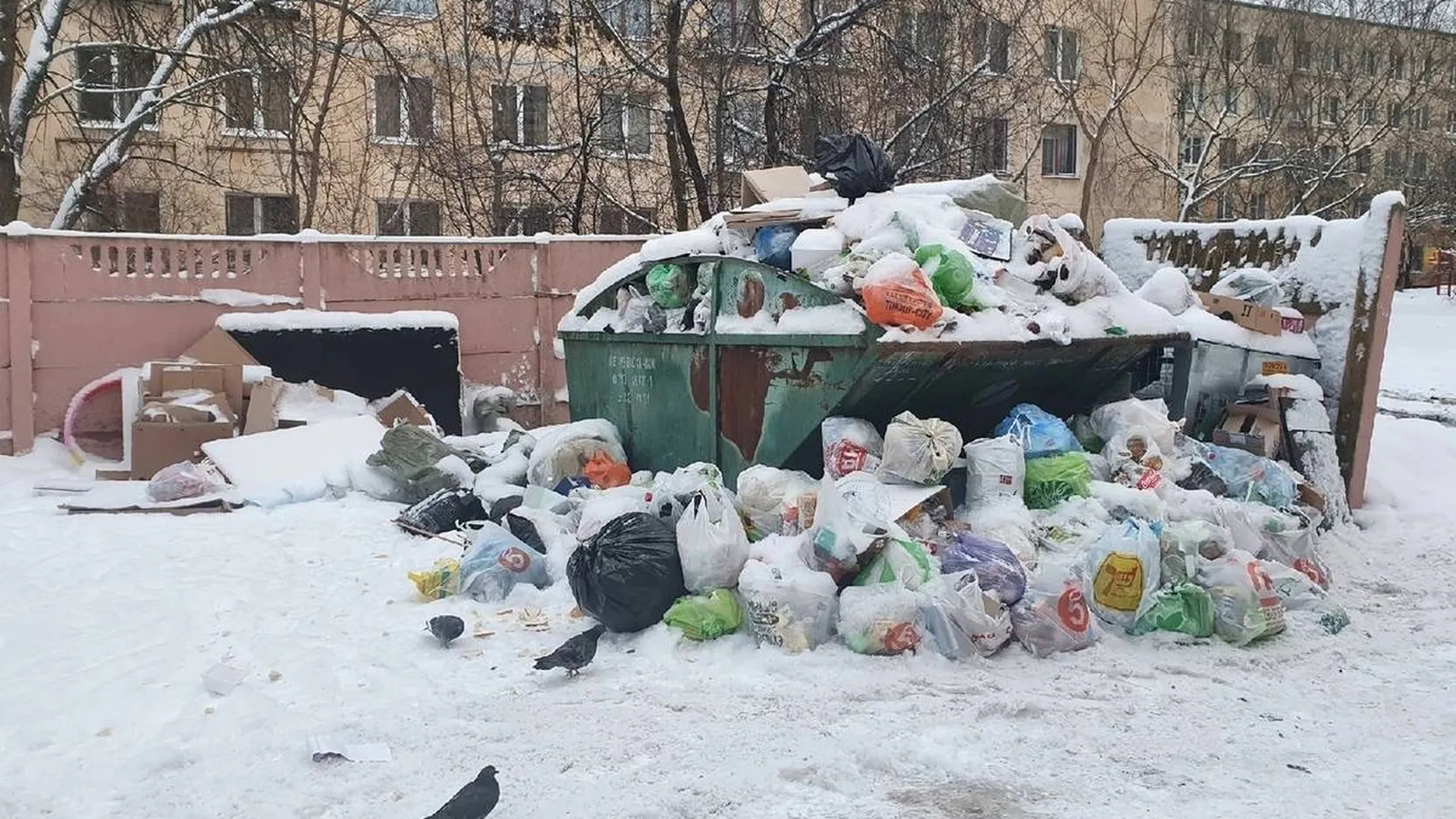 Питер как зарабатываю лазая по мусоркам. Лазая по мусоркам питера. Лазая по мусоркам питера. Лазая по мусоркам питера. Лазая по мусоркам питера.